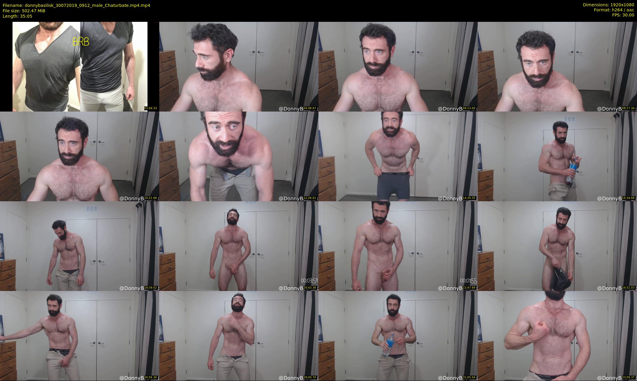 donnybasilisk — 36 minute Chaturbate male cam show recording, 1080p, Jul 30, 2019