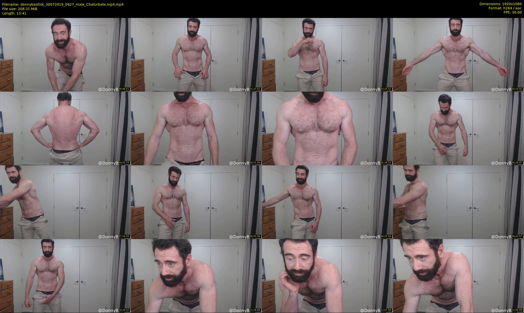 donnybasilisk — 14 minute Chaturbate male cam show recording, 1080p, Jul 30, 2019
