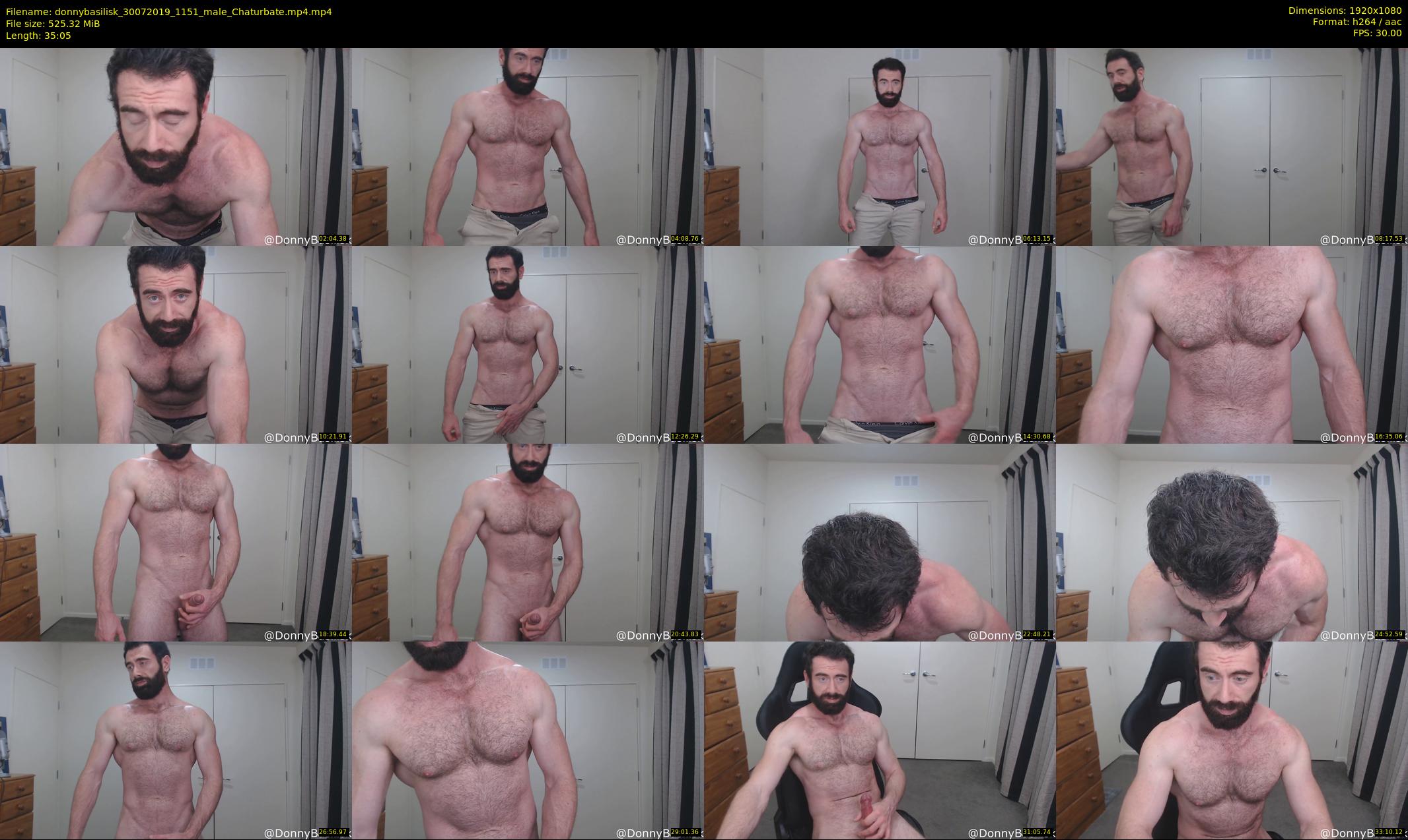 donnybasilisk — 36 minute Chaturbate male cam show recording, 1080p, Jul 30, 2019