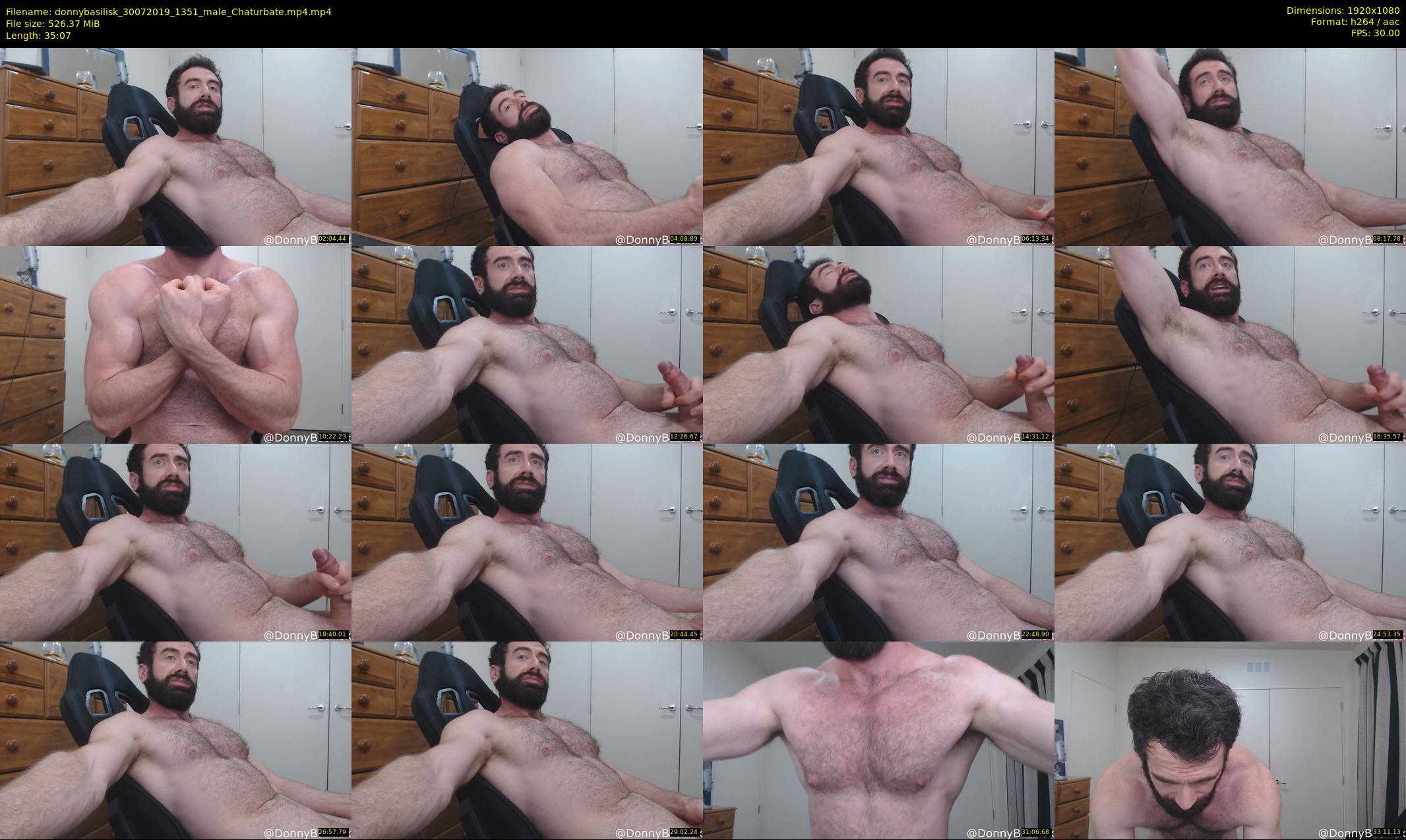donnybasilisk — 36 minute Chaturbate male cam show recording, 1080p, Jul 30, 2019