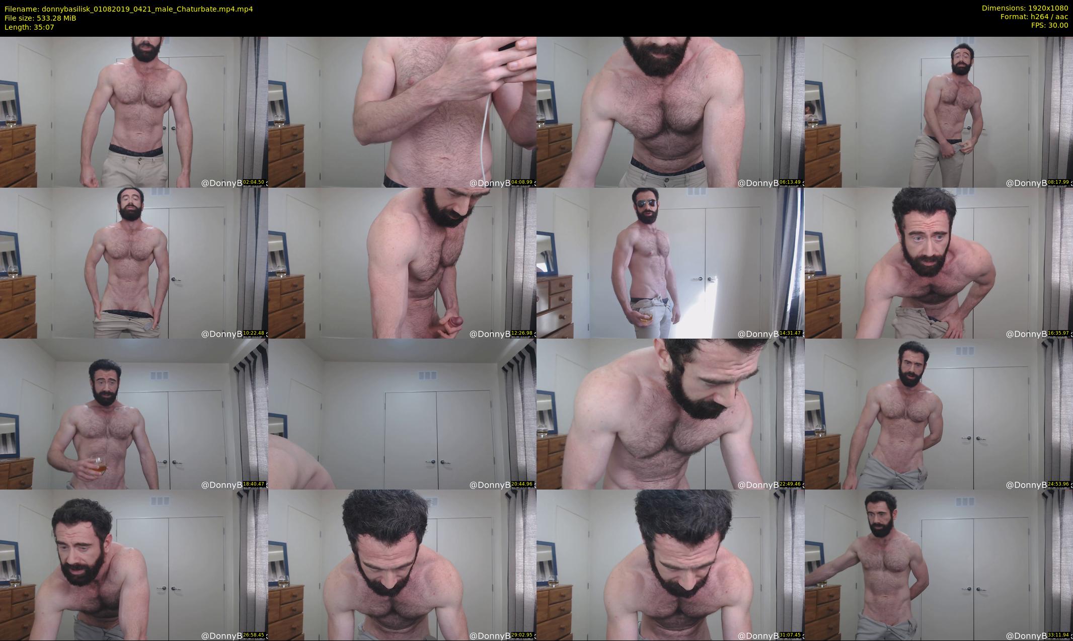 donnybasilisk — 36 minute Chaturbate male cam show recording, 1080p, Aug 1, 2019
