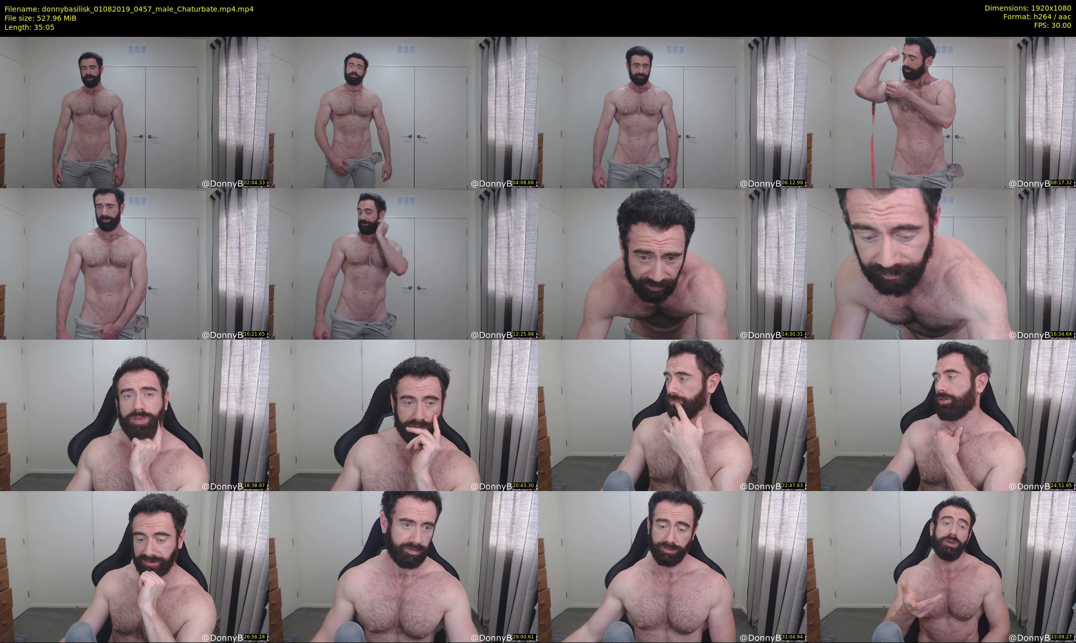 donnybasilisk — 36 minute Chaturbate male cam show recording, 1080p, Aug 1, 2019