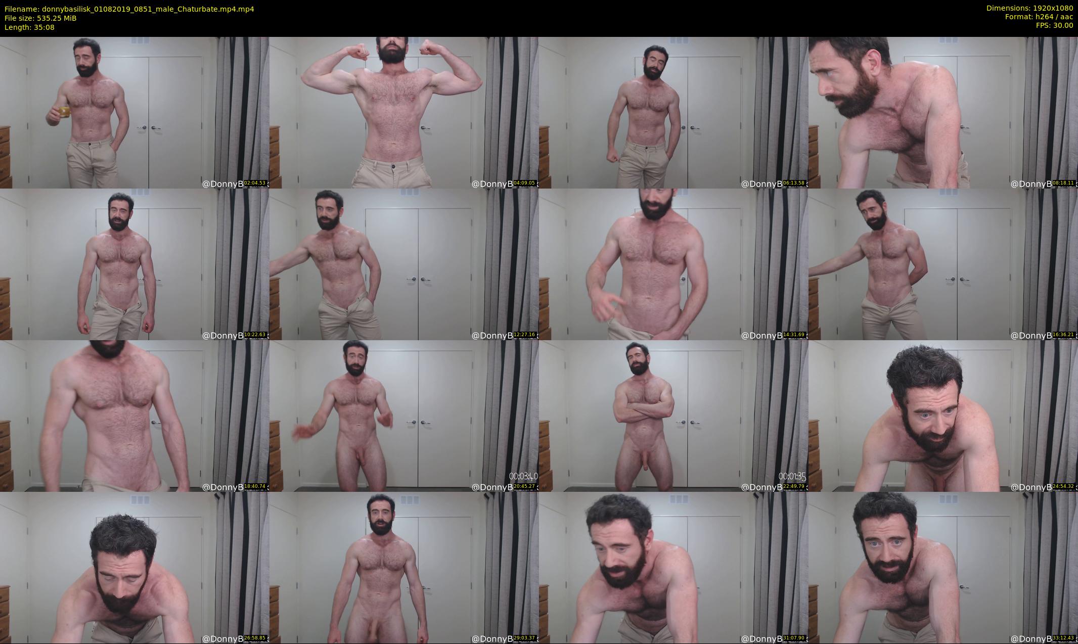 donnybasilisk — 36 minute Chaturbate male cam show recording, 1080p, Aug 1, 2019