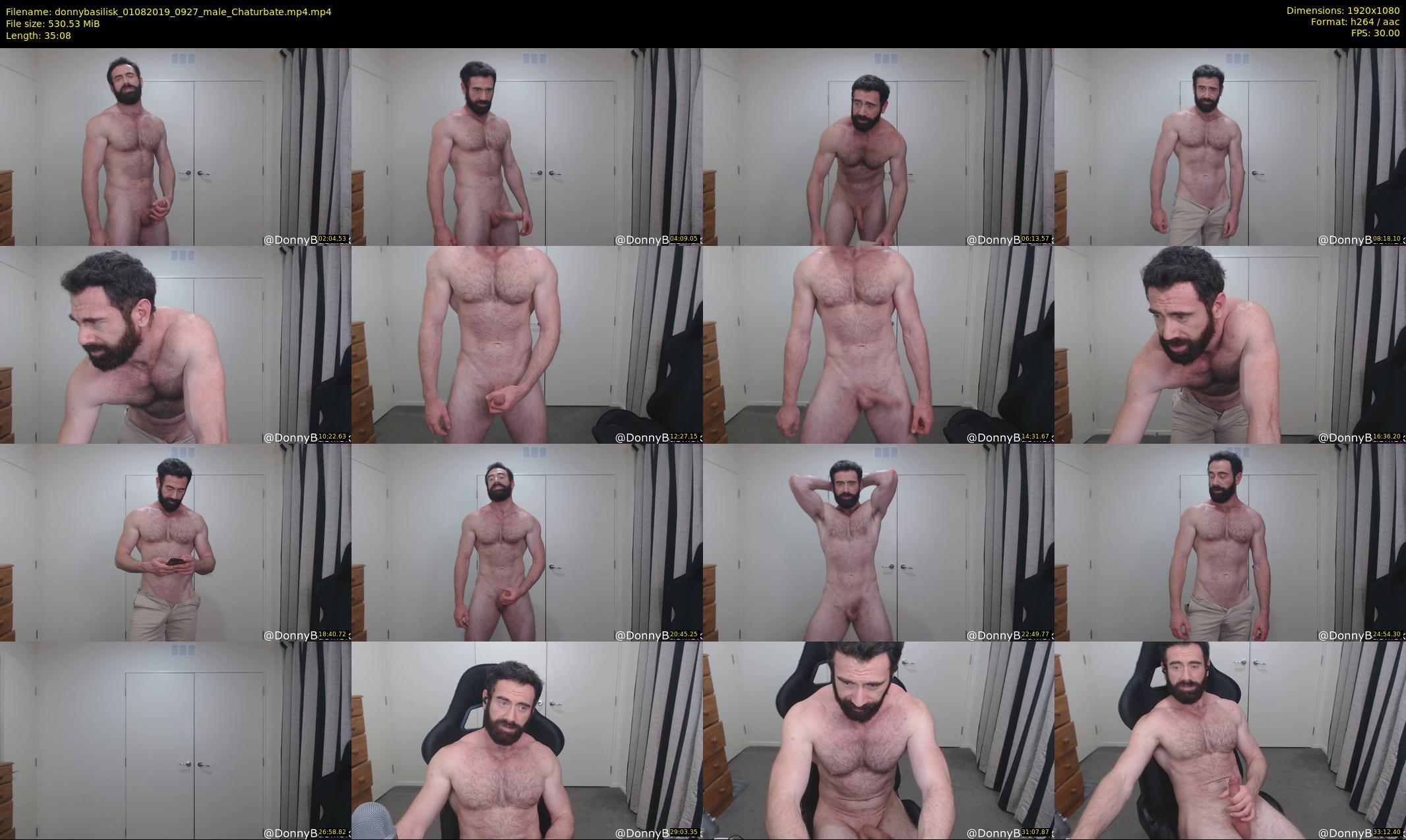 donnybasilisk — 36 minute Chaturbate male cam show recording, 1080p, Aug 1, 2019