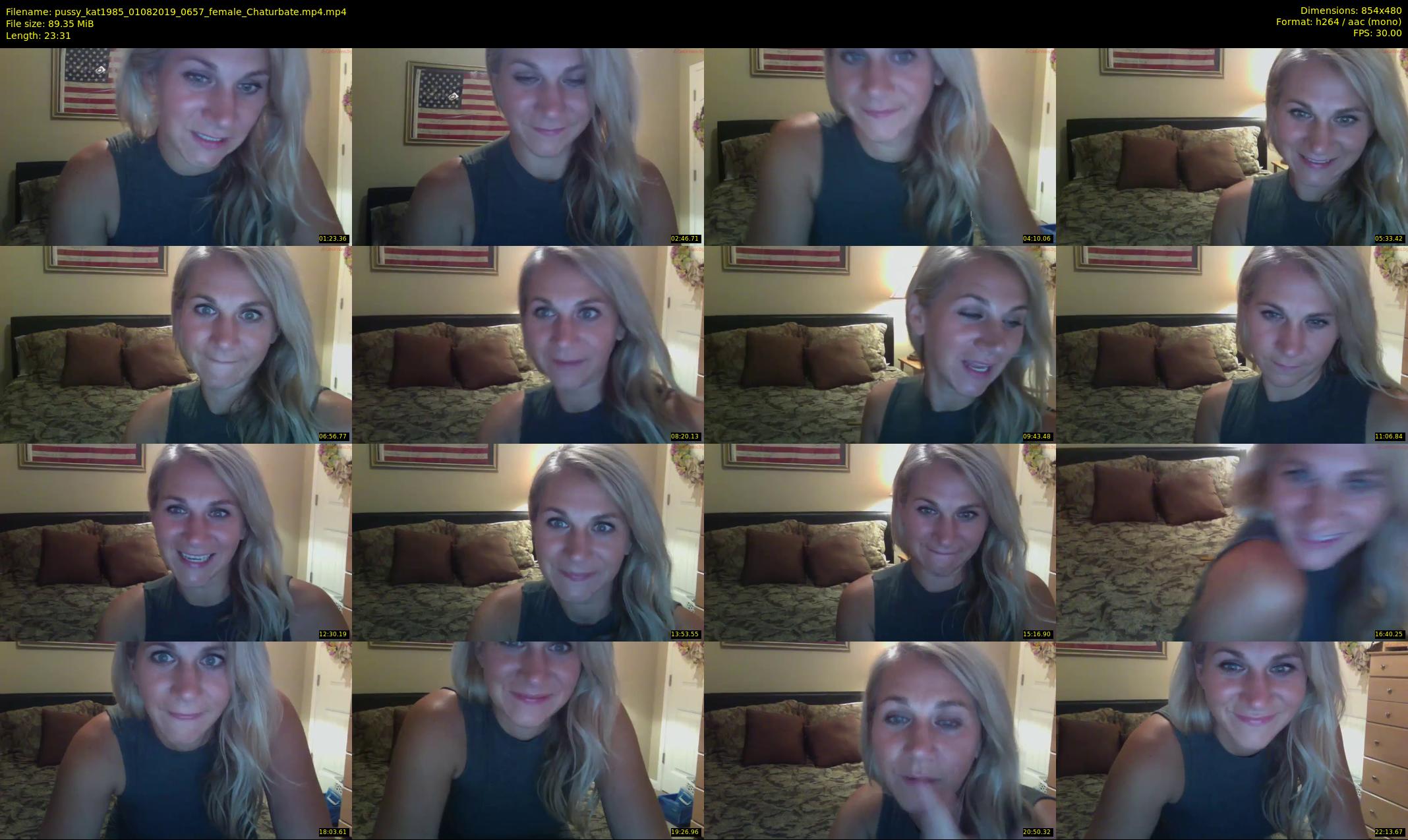 pussy_kat1985 — 24 minute Chaturbate female cam show recording, 480p, Aug 1, 2019