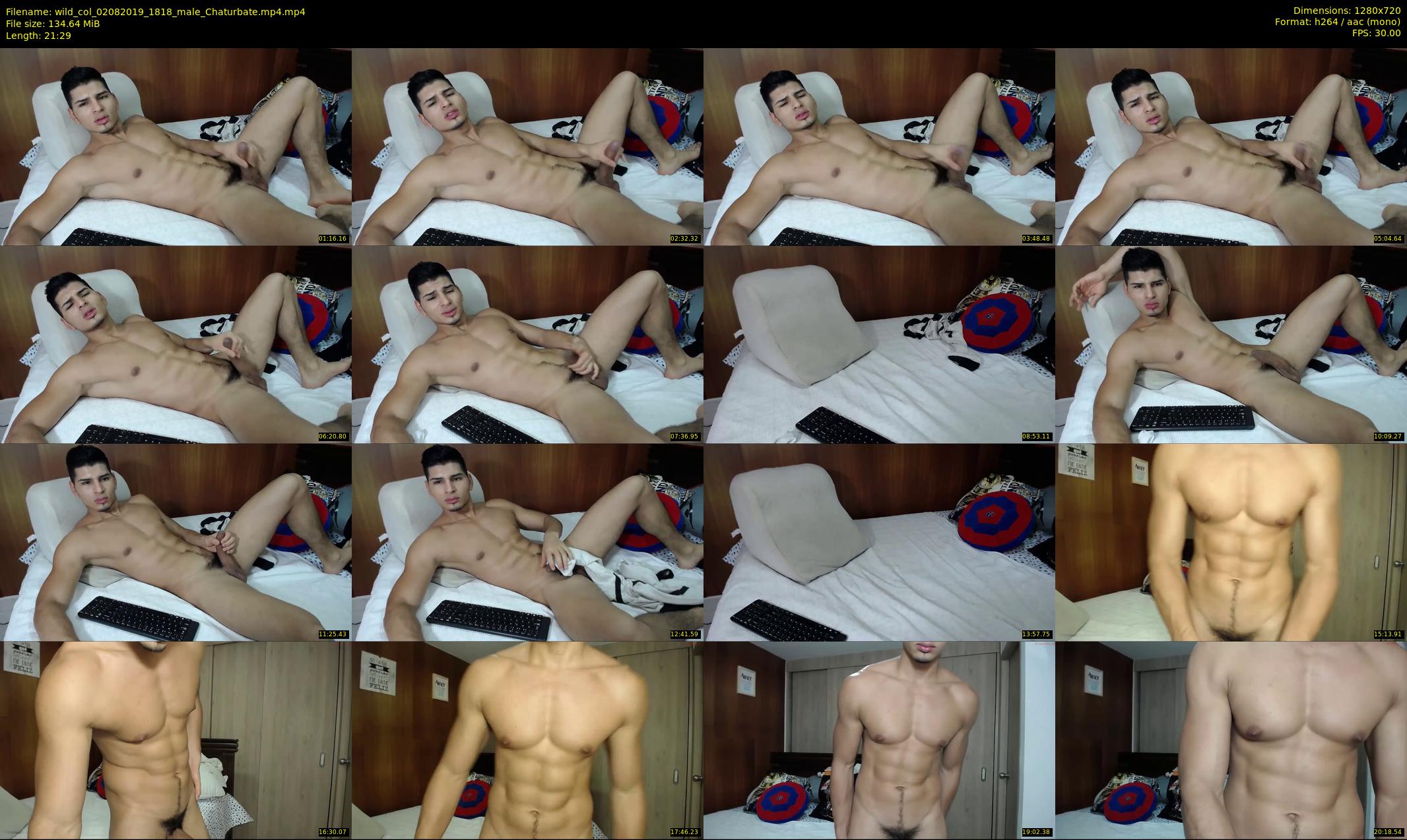 wild_col — 22 minute Chaturbate male cam show recording, 720p, Aug 2, 2019
