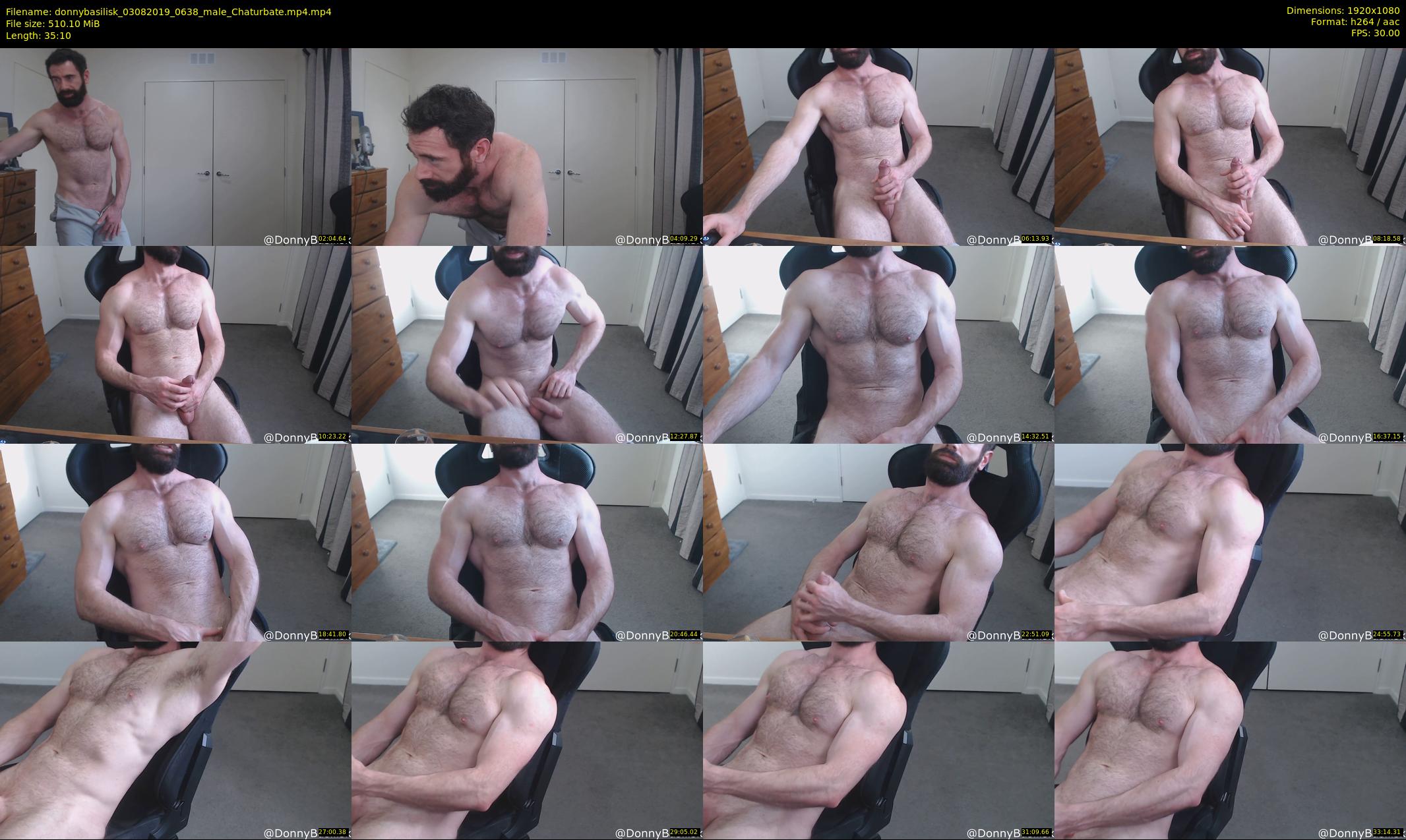 donnybasilisk — 36 minute Chaturbate male cam show recording, 1080p, Aug 3, 2019