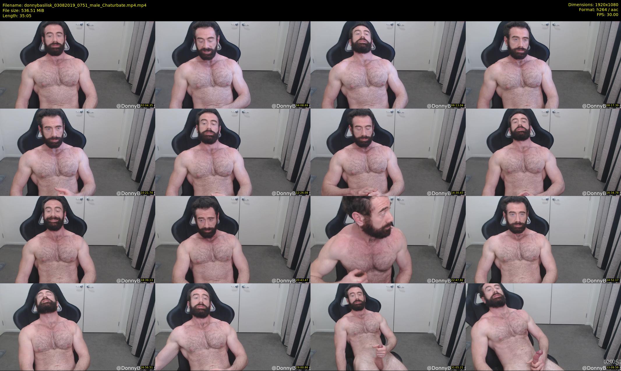 donnybasilisk — 36 minute Chaturbate male cam show recording, 1080p, Aug 3, 2019