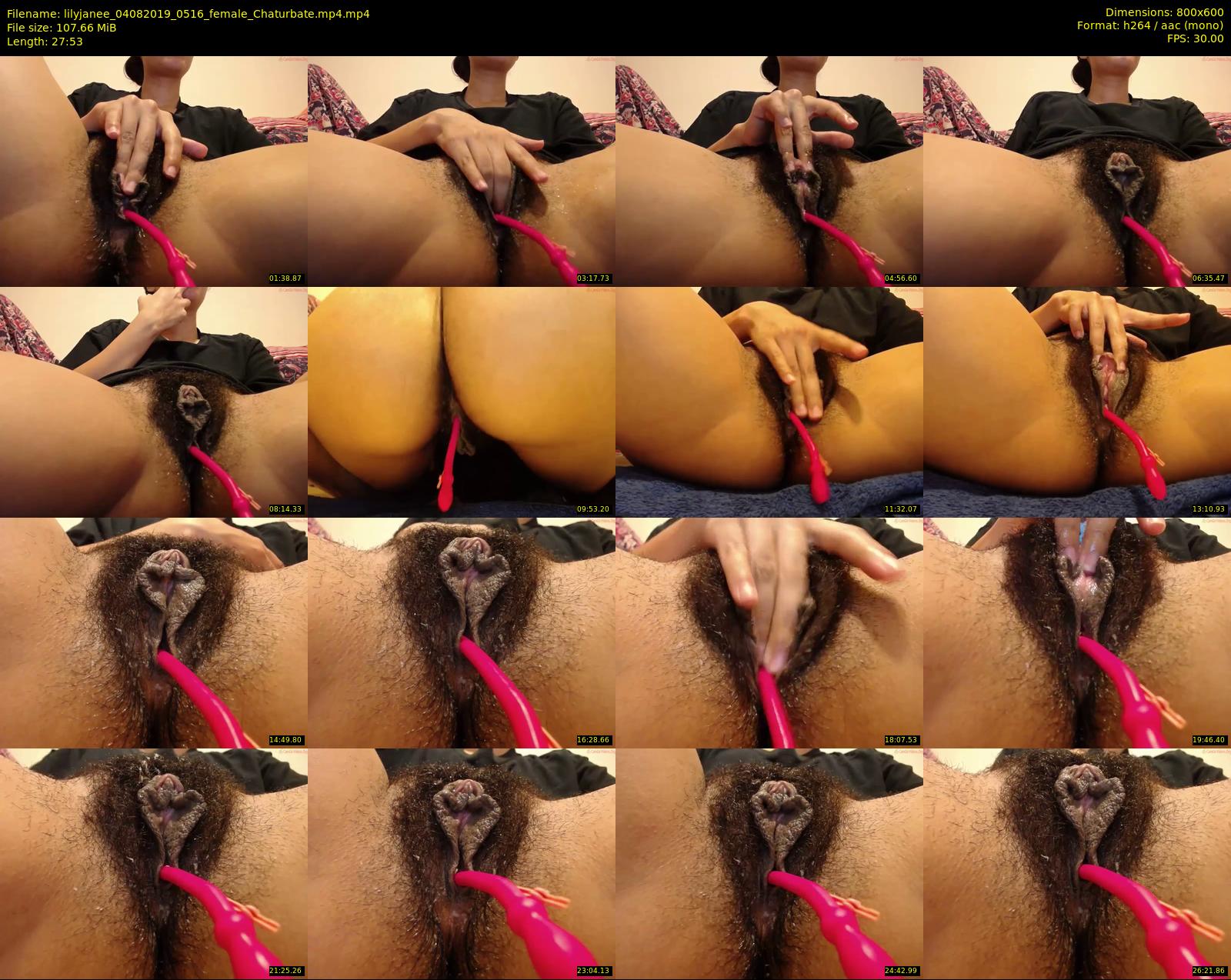 lilyjanee — 28 minute Chaturbate female cam show recording, 480p, Aug 4, 2019