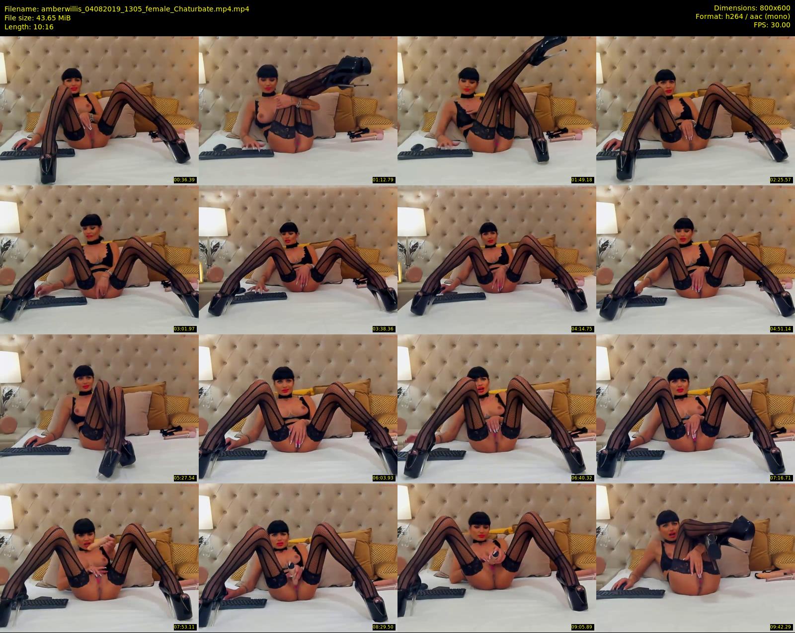 amberwillis — 11 minute Chaturbate female cam show recording, 480p, Aug 4, 2019