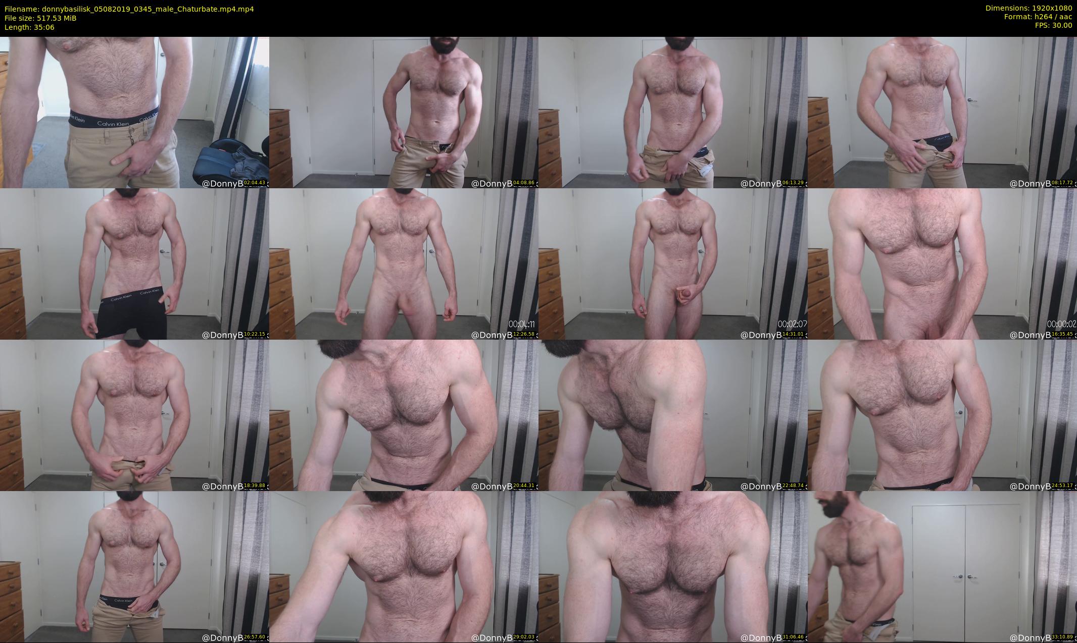 donnybasilisk — 36 minute Chaturbate male cam show recording, 1080p, Aug 5, 2019