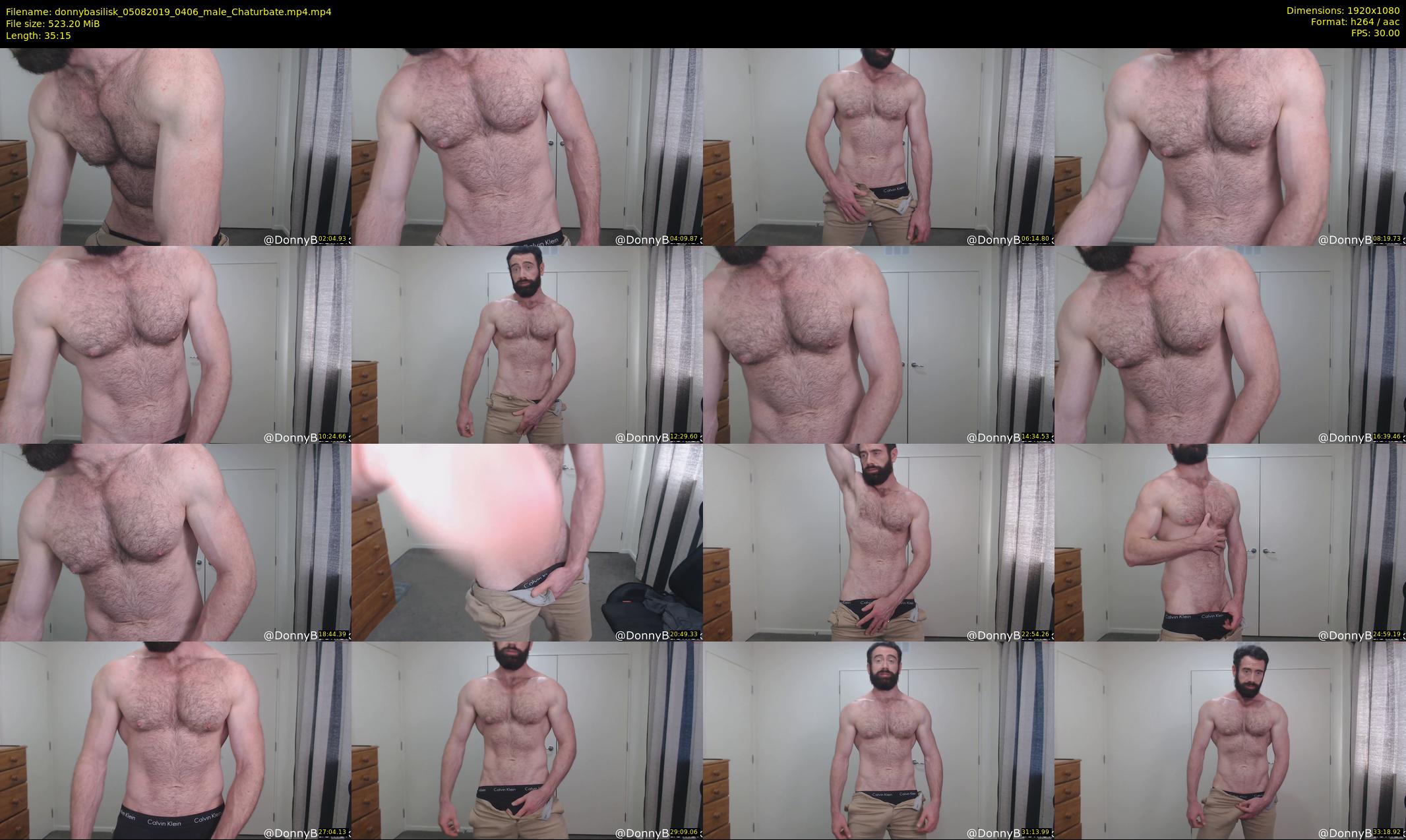 donnybasilisk — 36 minute Chaturbate male cam show recording, 1080p, Aug 5, 2019