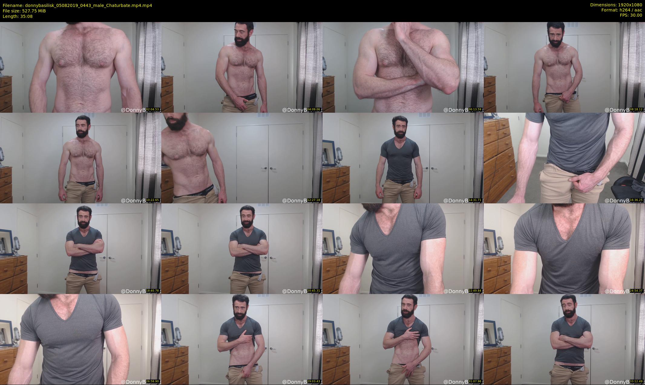 donnybasilisk — 36 minute Chaturbate male cam show recording, 1080p, Aug 5, 2019