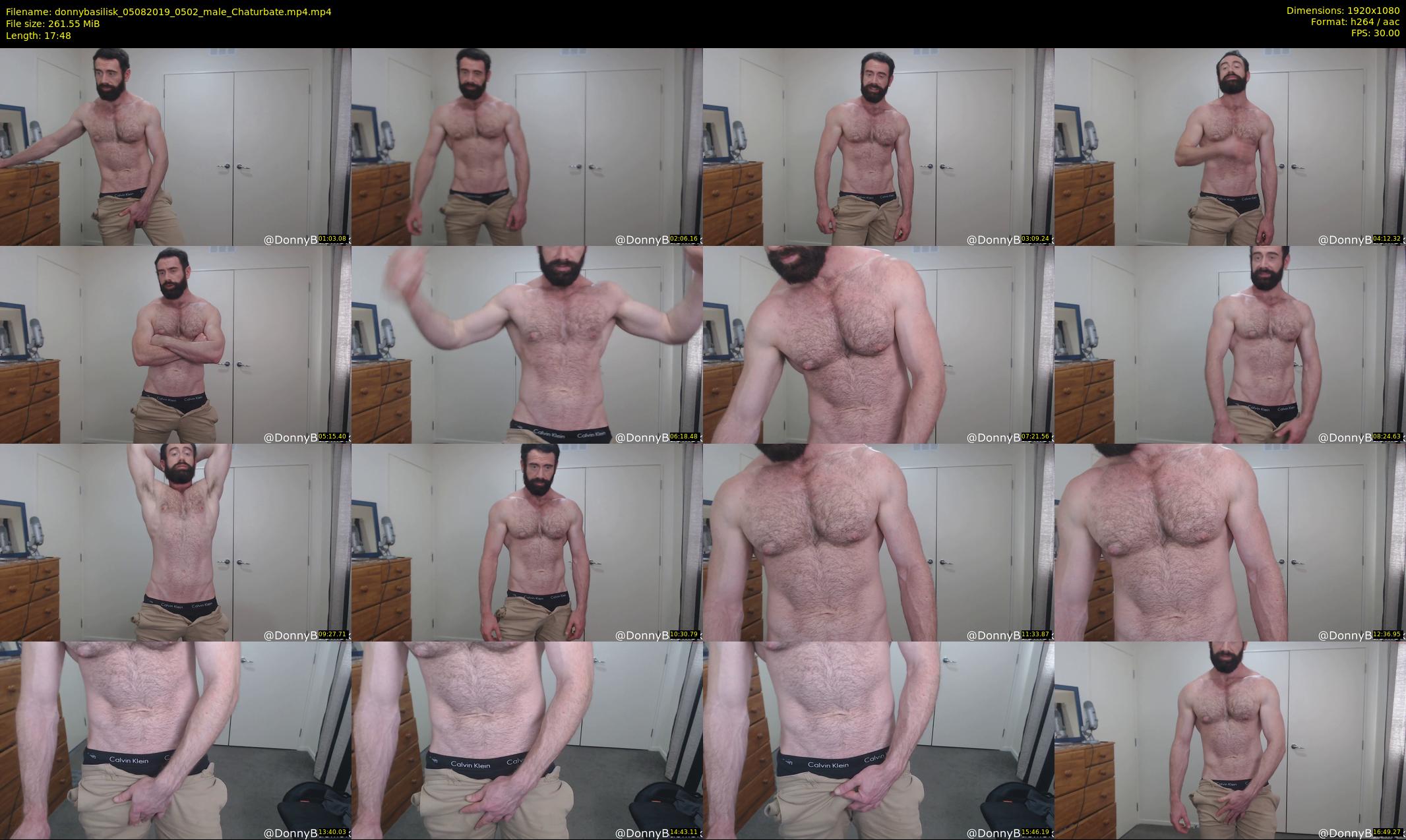 donnybasilisk — 18 minute Chaturbate male cam show recording, 1080p, Aug 5, 2019