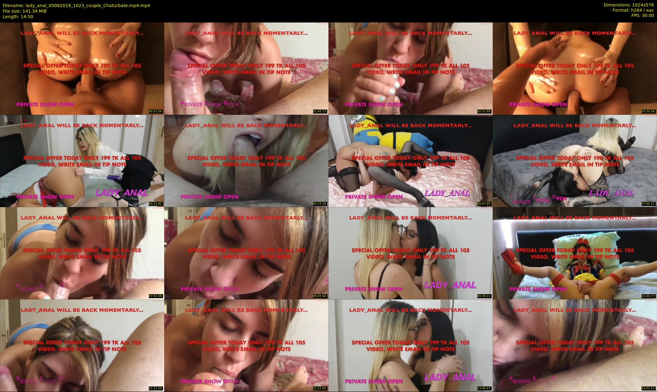 lady_anal — 15 minute Chaturbate female cam show recording, 480p, Aug 5, 2019