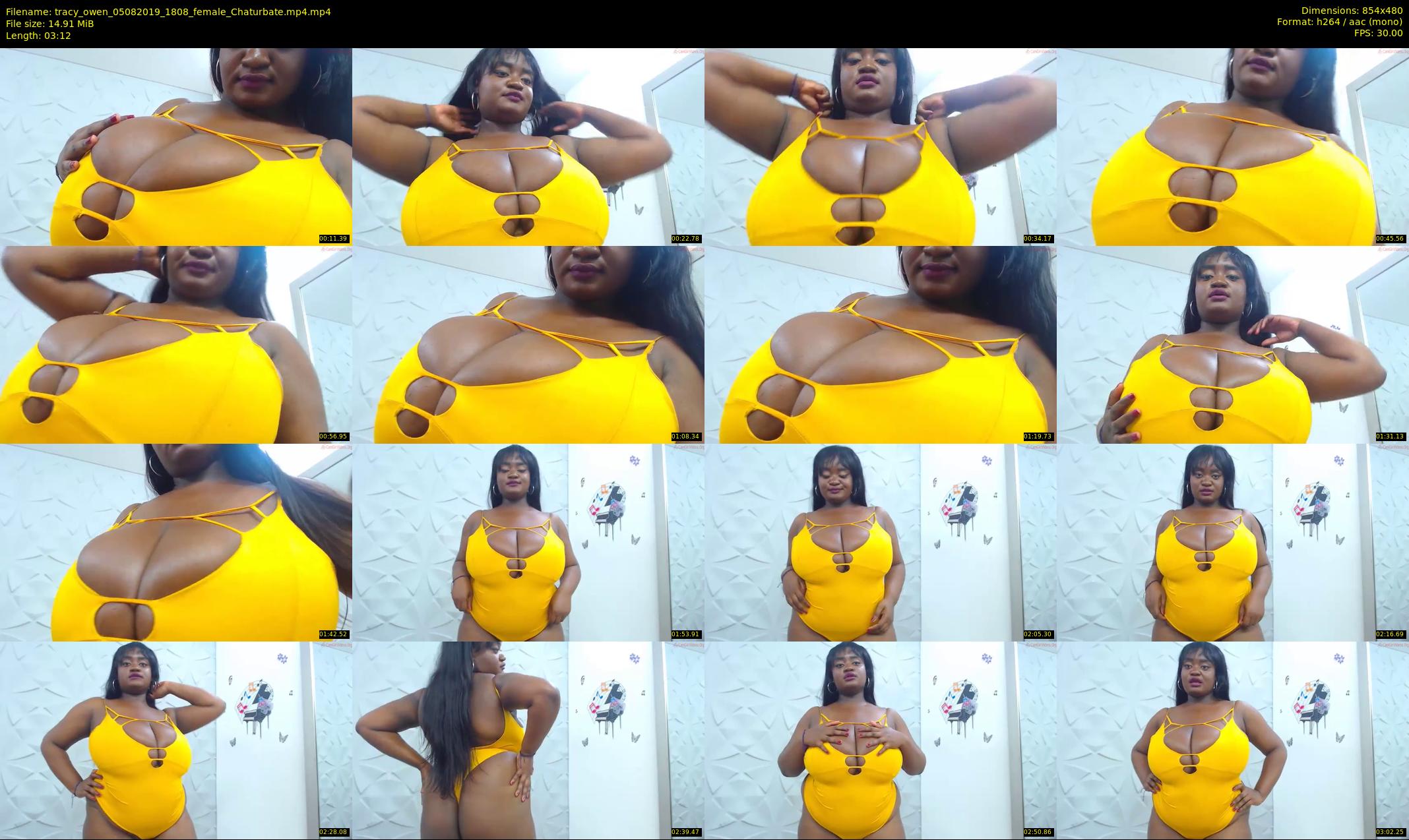 tracy_owen — 4 minute Chaturbate female cam show recording, 480p, Aug 5, 2019