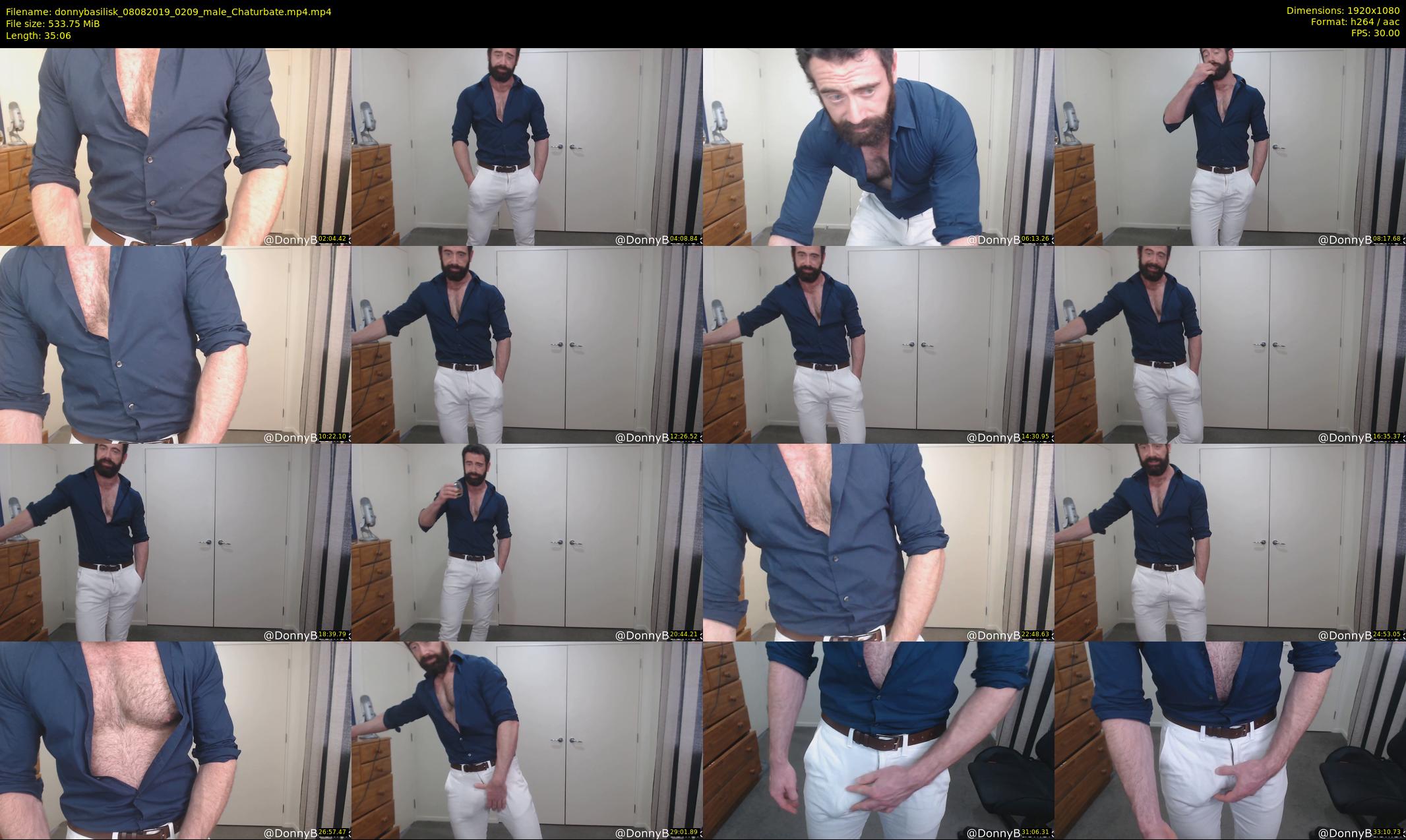 donnybasilisk — 36 minute Chaturbate male cam show recording, 1080p, Aug 8, 2019