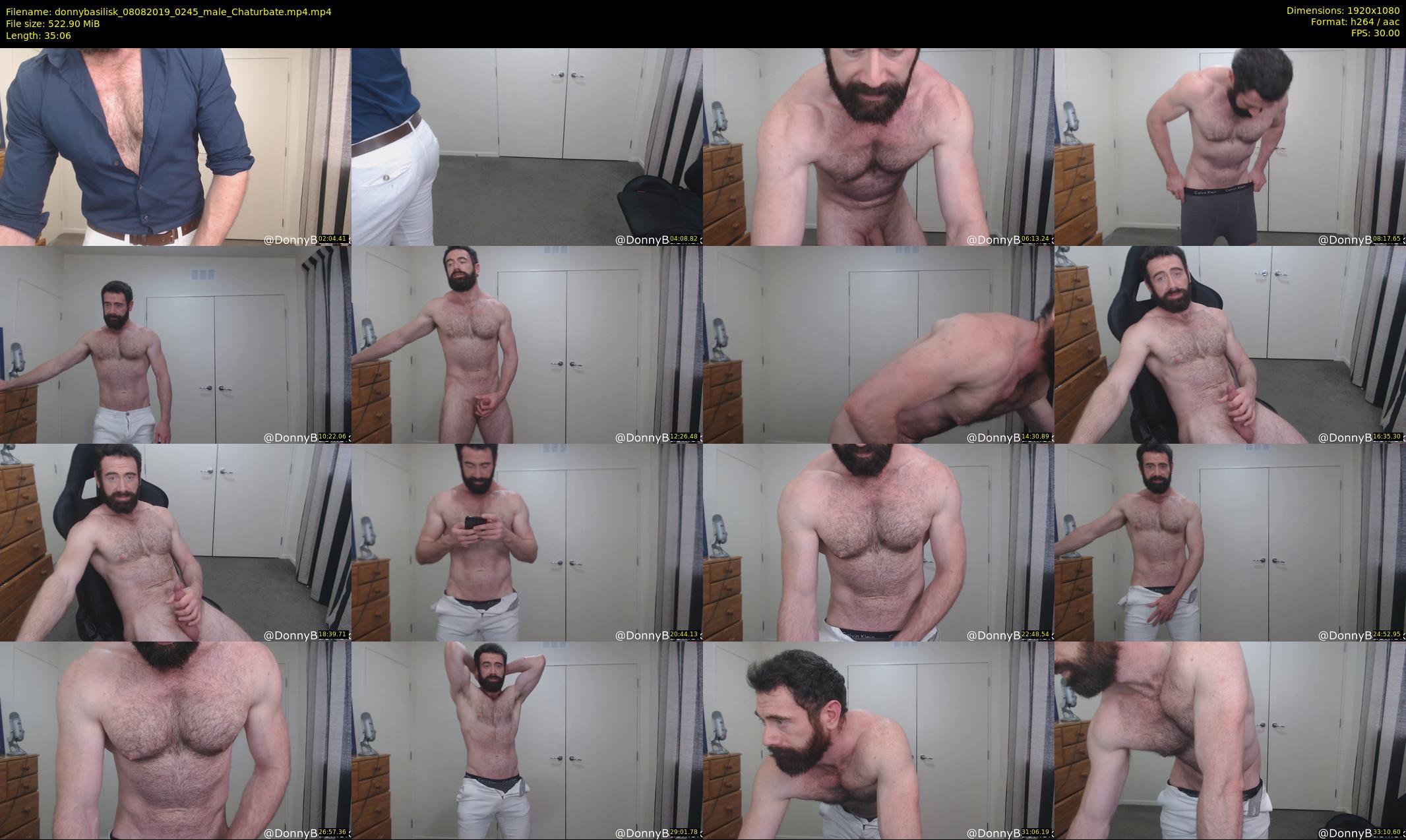 donnybasilisk — 36 minute Chaturbate male cam show recording, 1080p, Aug 8, 2019