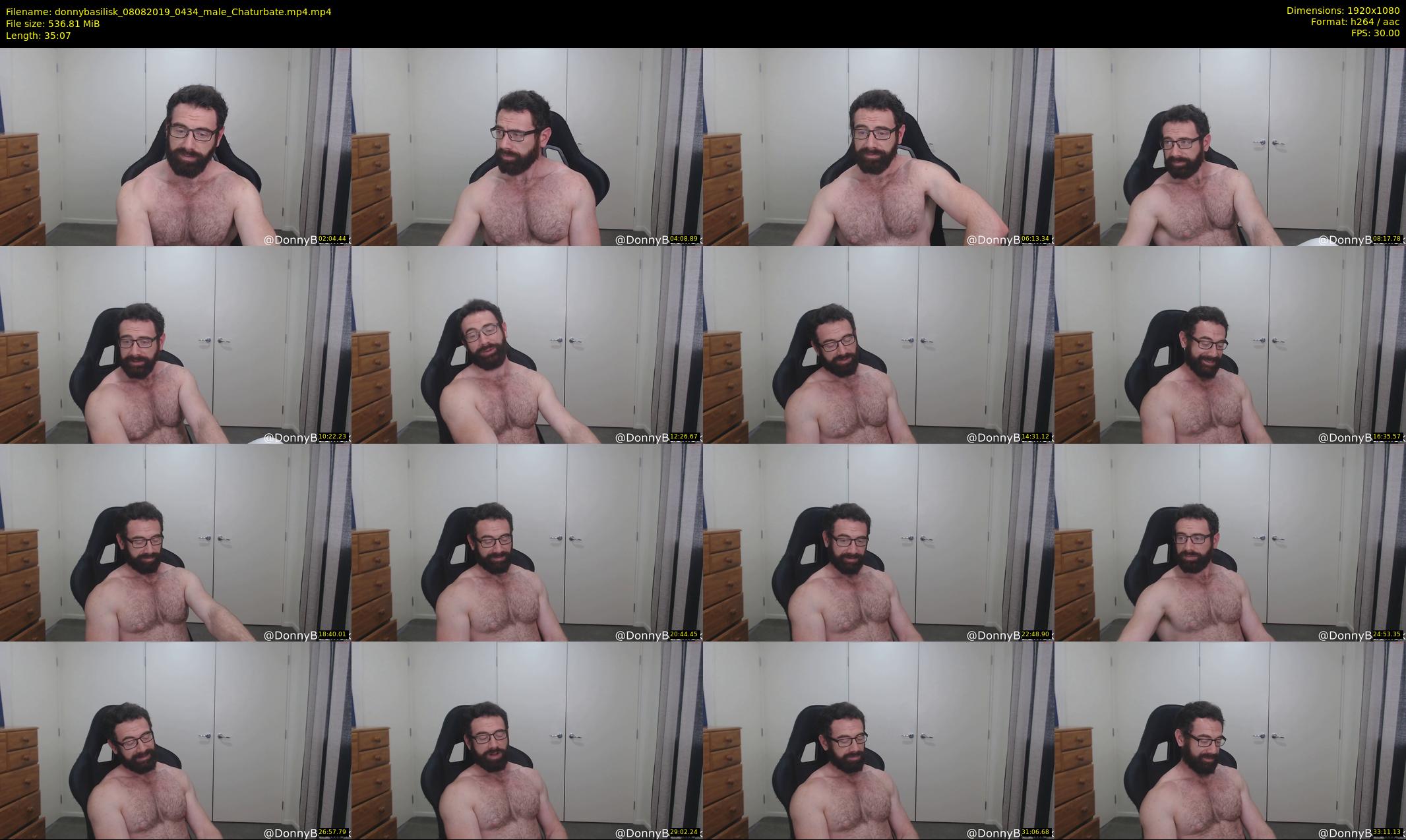 donnybasilisk — 36 minute Chaturbate male cam show recording, 1080p, Aug 8, 2019