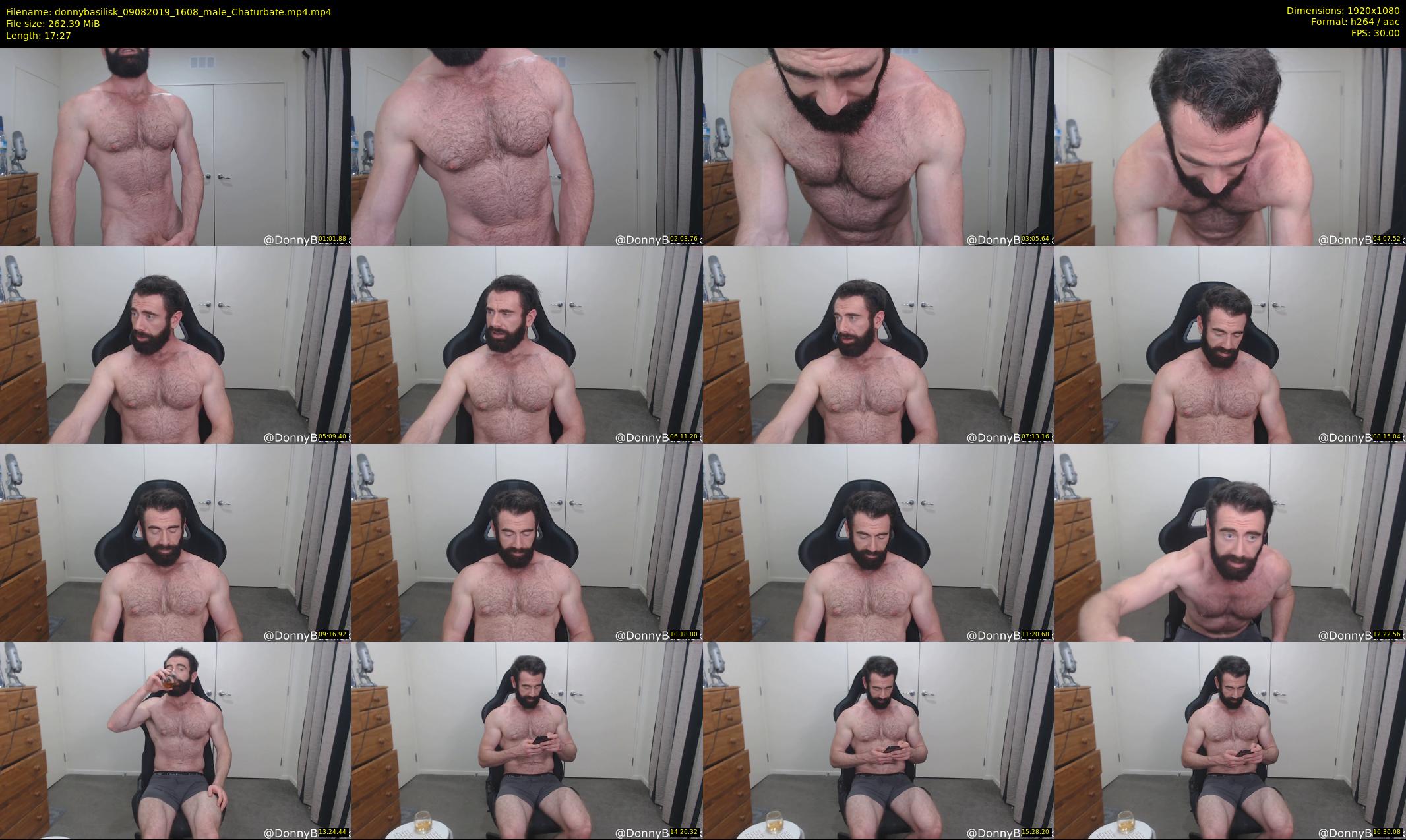 donnybasilisk — 18 minute Chaturbate male cam show recording, 1080p, Aug 9, 2019
