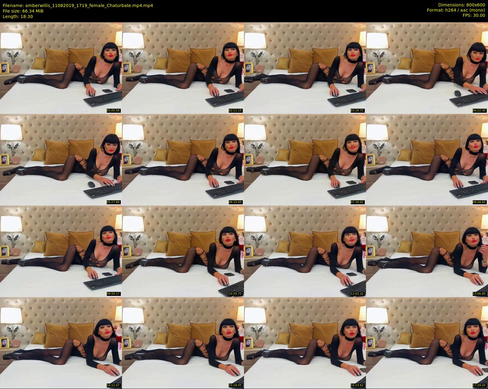 amberwillis — 19 minute Chaturbate female cam show recording, 480p, Aug 11, 2019