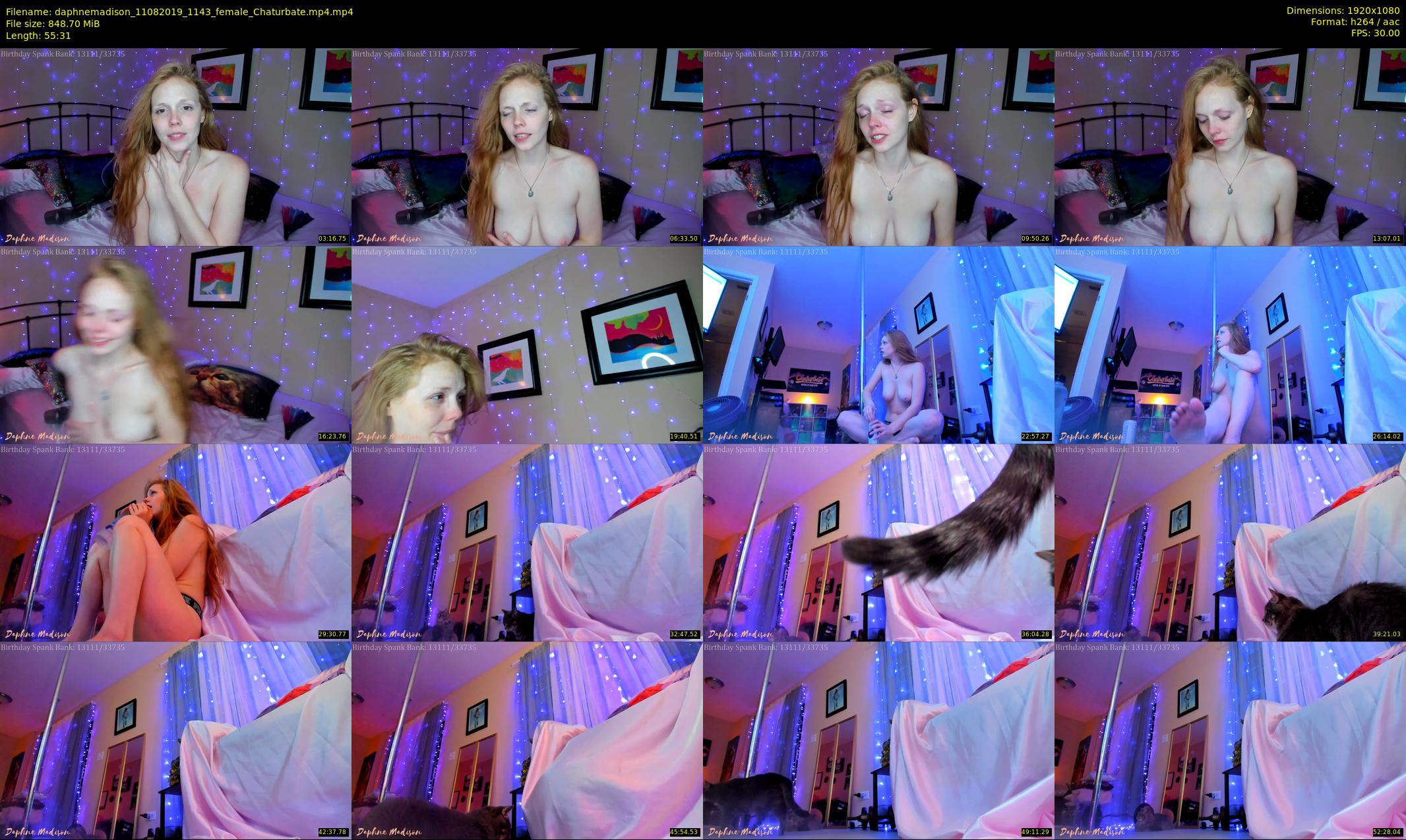 daphnemadison — 56 minute Chaturbate couple cam show recording, 1080p, Aug 11, 2019