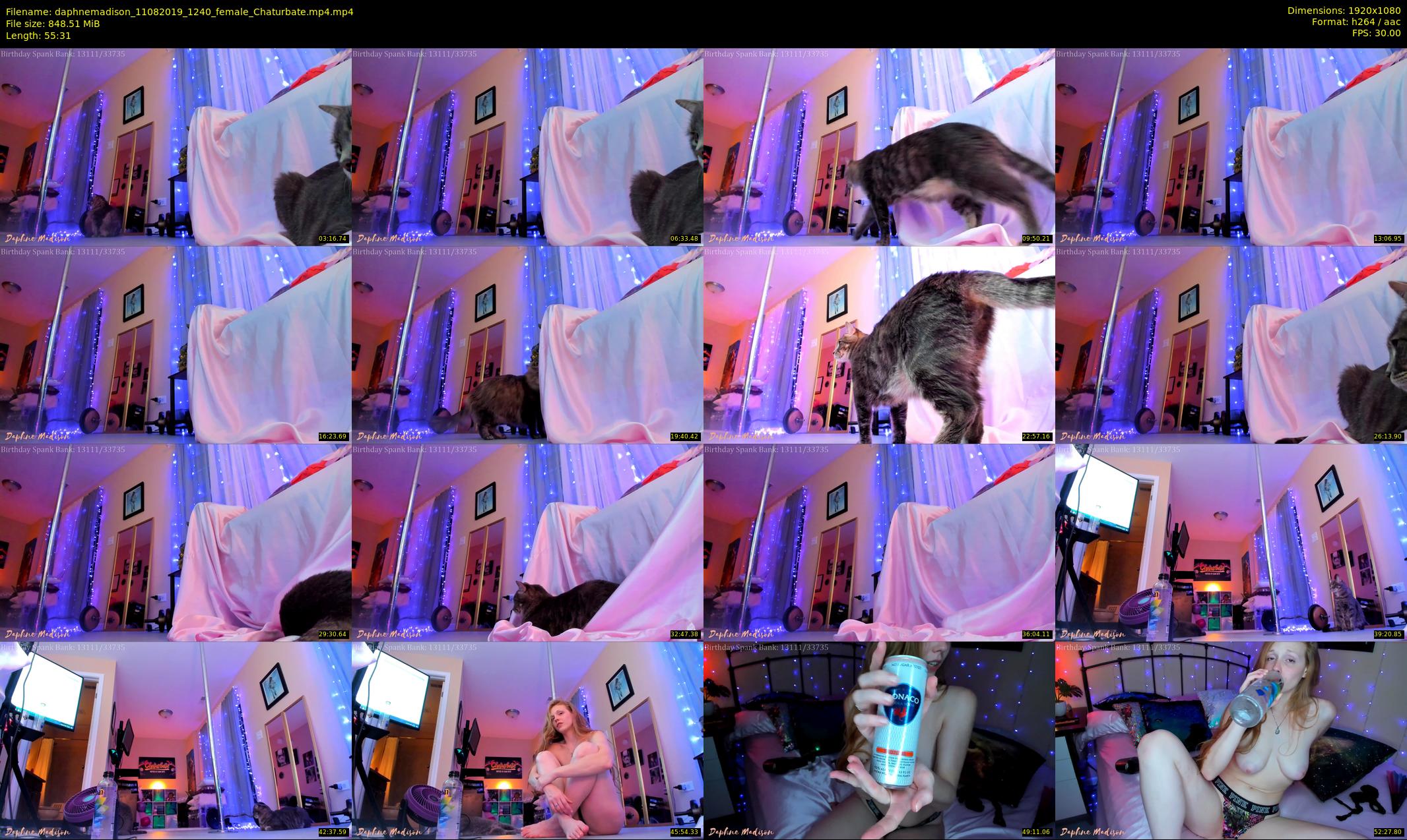 daphnemadison — 56 minute Chaturbate couple cam show recording, 1080p, Aug 11, 2019