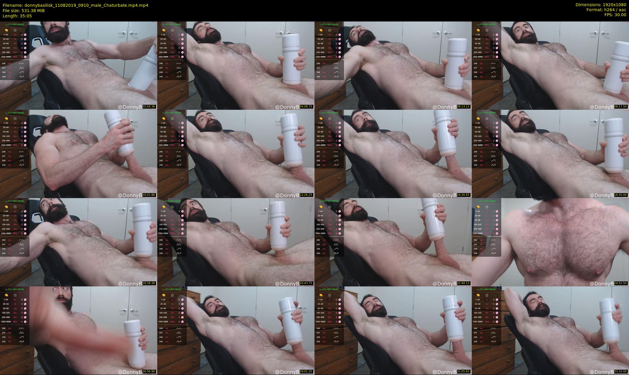 donnybasilisk — 36 minute Chaturbate male cam show recording, 1080p, Aug 11, 2019