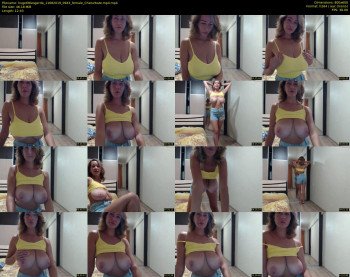 hugetittiesgerda — 13 minute Chaturbate female cam show recording, 480p, Aug 11, 2019