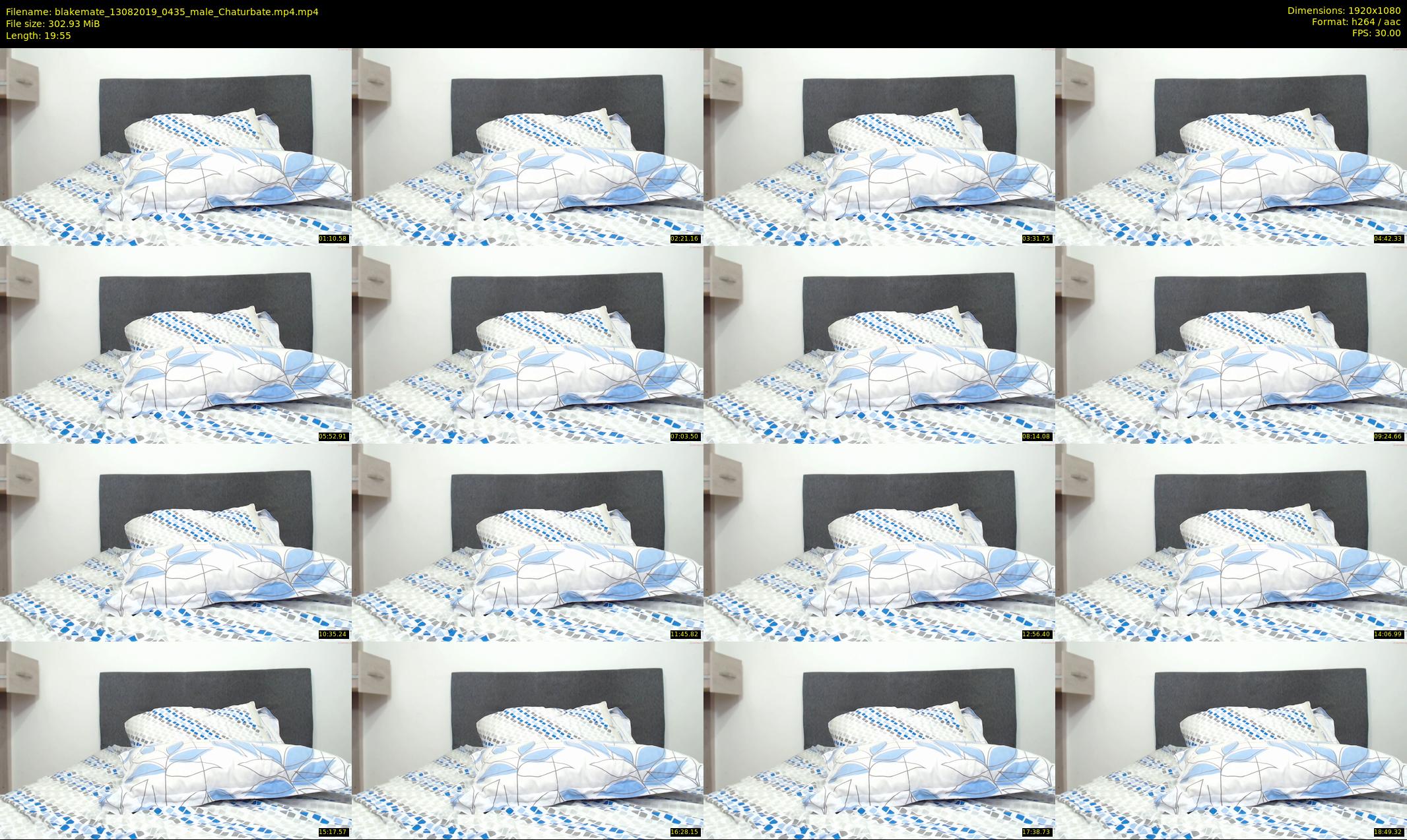 blakemate — 20 minute Chaturbate male cam show recording, 1080p, Aug 13, 2019
