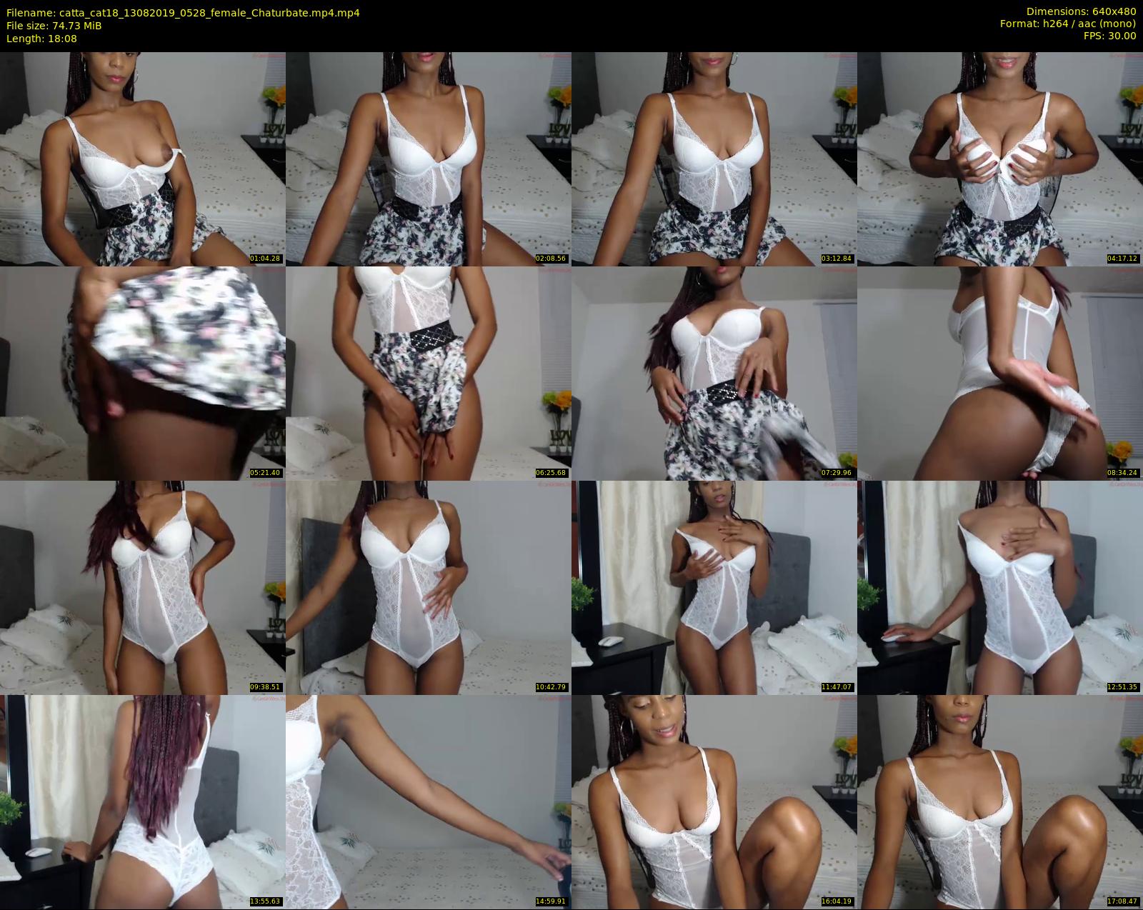 catta_cat18 — 19 minute Chaturbate female cam show recording, 480p, Aug 13, 2019
