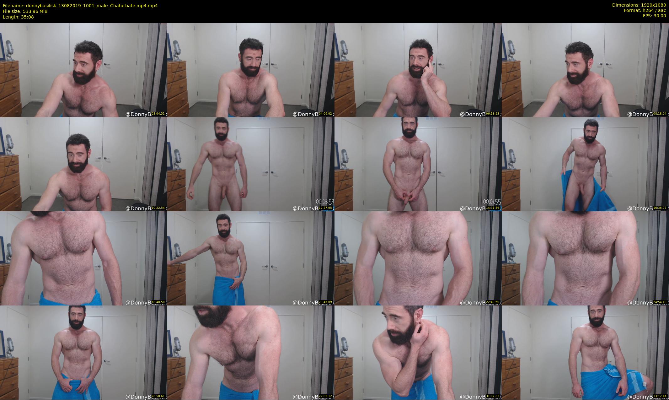 donnybasilisk — 36 minute Chaturbate male cam show recording, 1080p, Aug 13, 2019