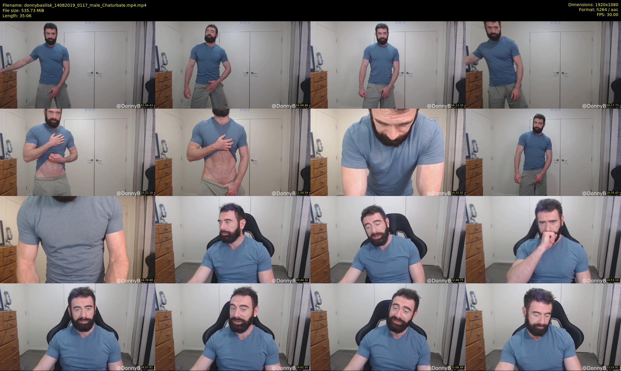 donnybasilisk — 36 minute Chaturbate male cam show recording, 1080p, Aug 14, 2019