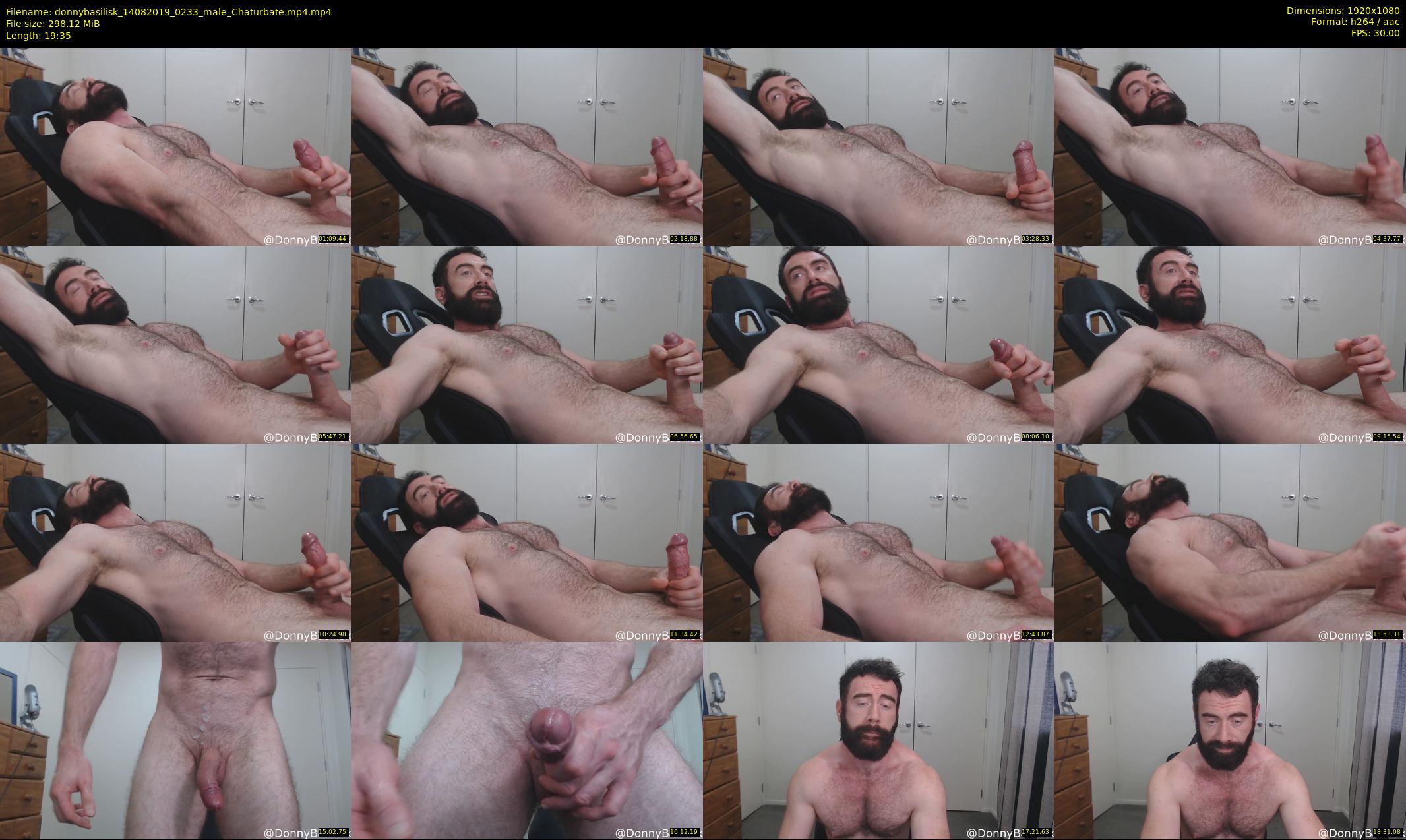 donnybasilisk — 20 minute Chaturbate male cam show recording, 1080p, Aug 14, 2019