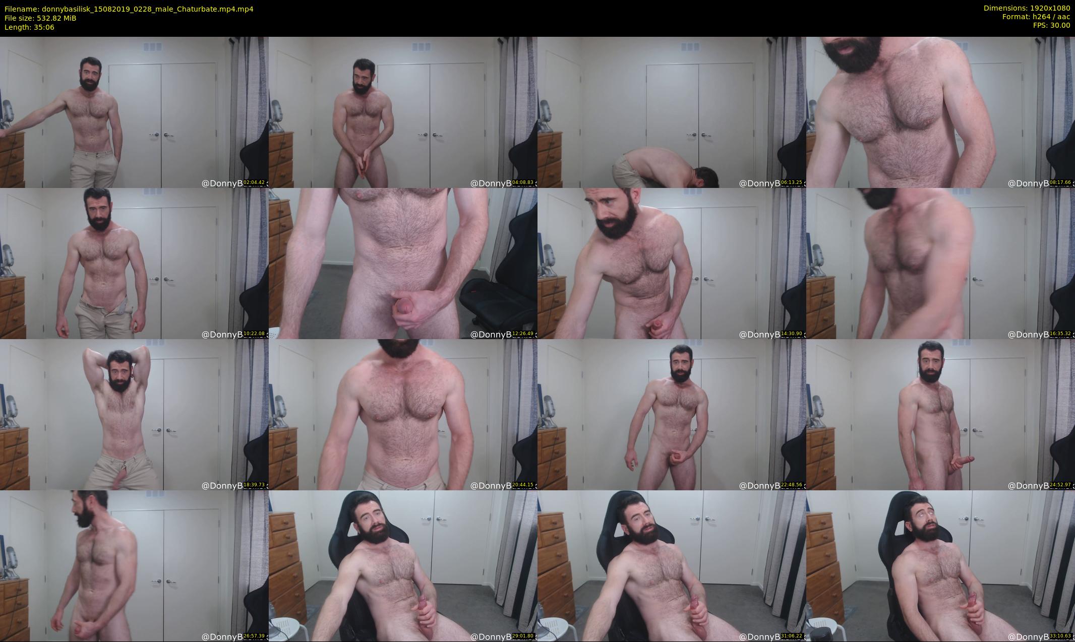 donnybasilisk — 36 minute Chaturbate male cam show recording, 1080p, Aug 15, 2019