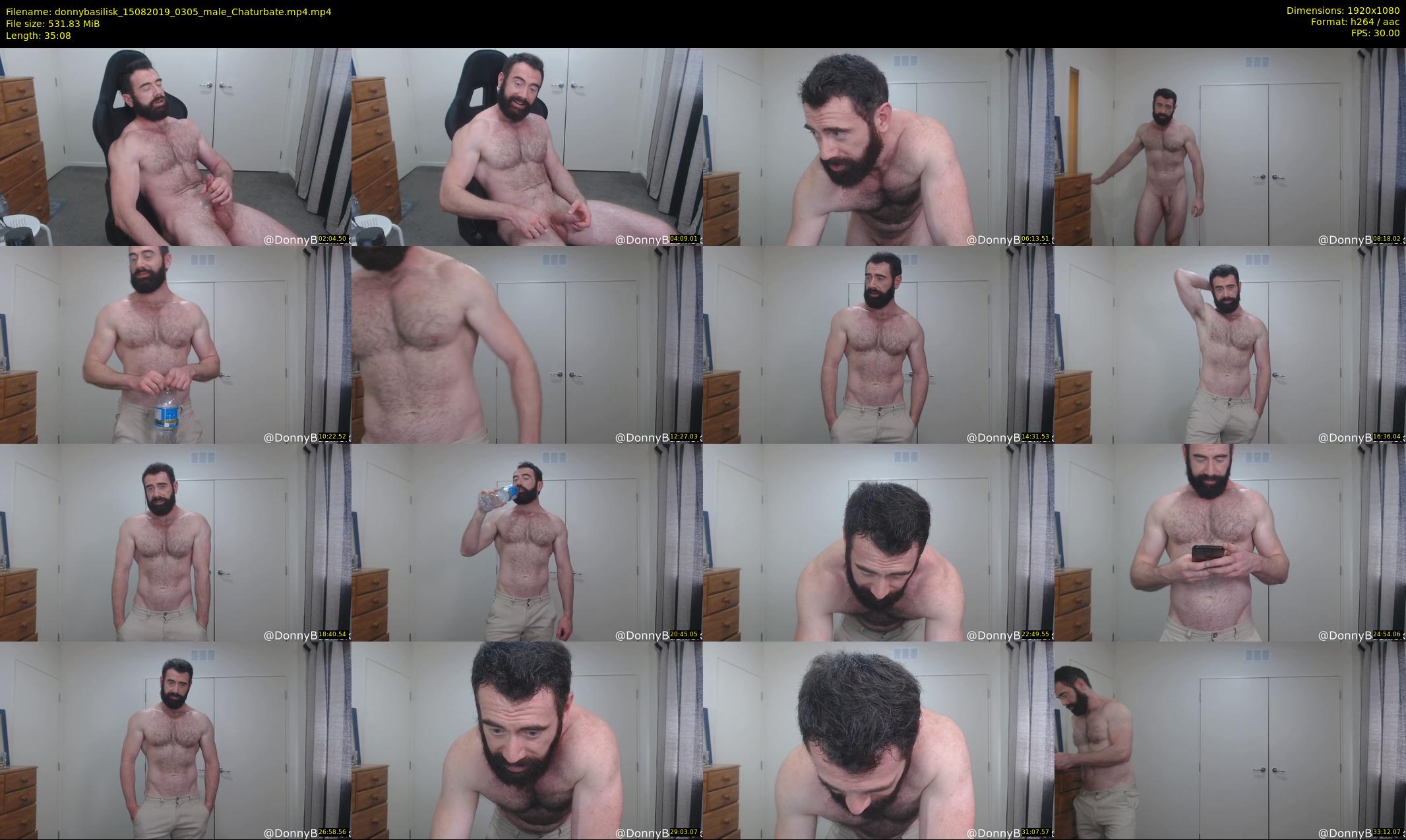 donnybasilisk — 36 minute Chaturbate male cam show recording, 1080p, Aug 15, 2019