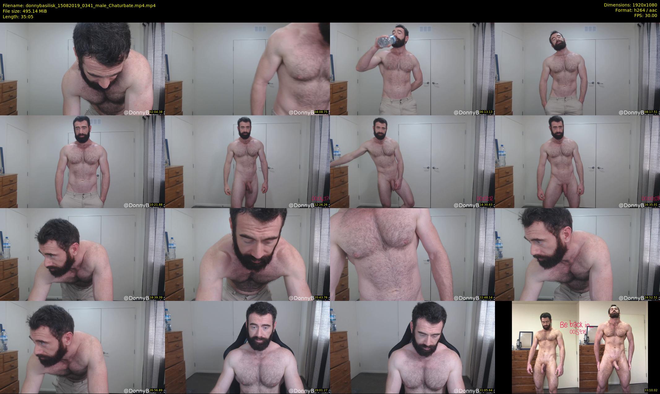 donnybasilisk — 36 minute Chaturbate male cam show recording, 1080p, Aug 15, 2019