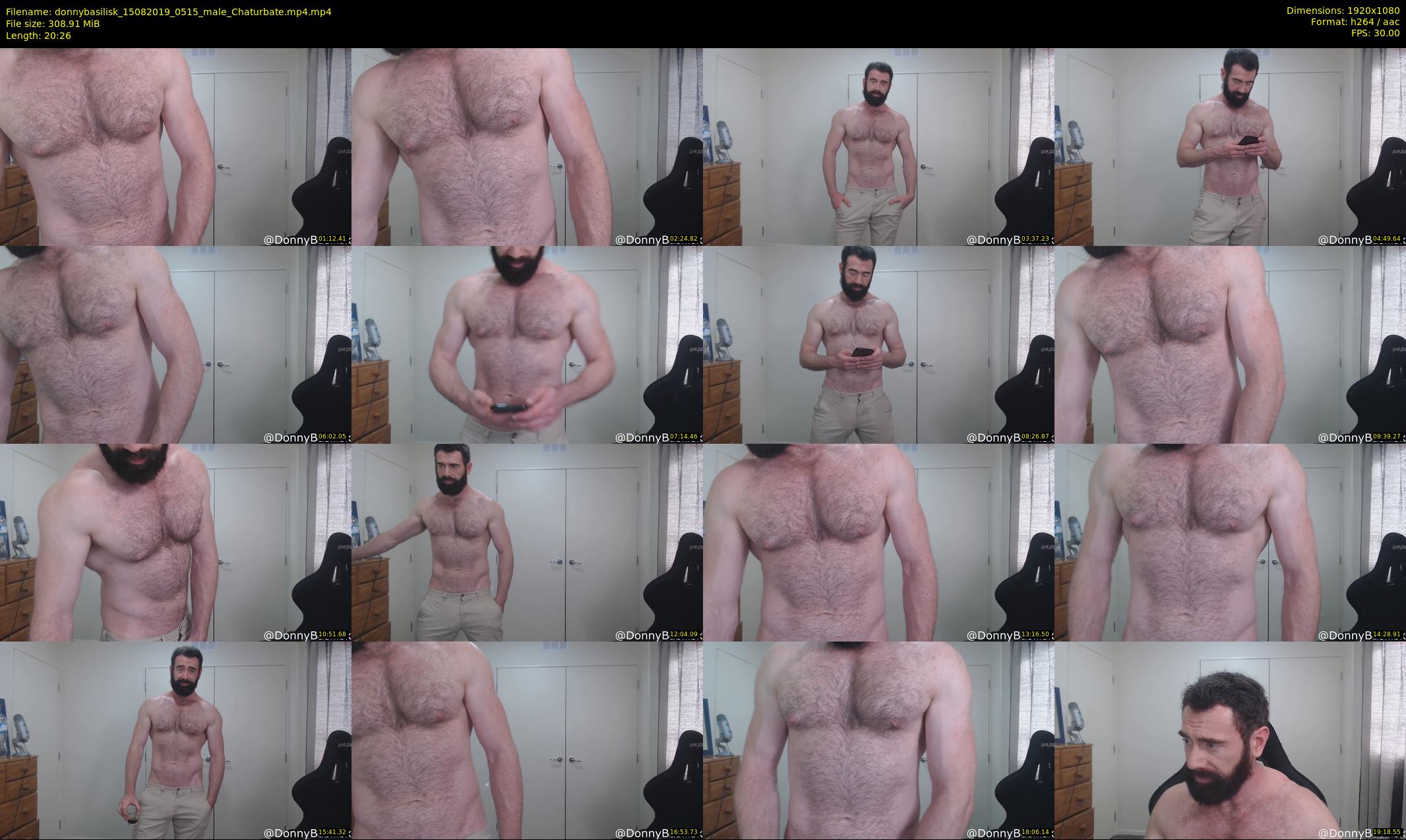 donnybasilisk — 21 minute Chaturbate male cam show recording, 1080p, Aug 15, 2019