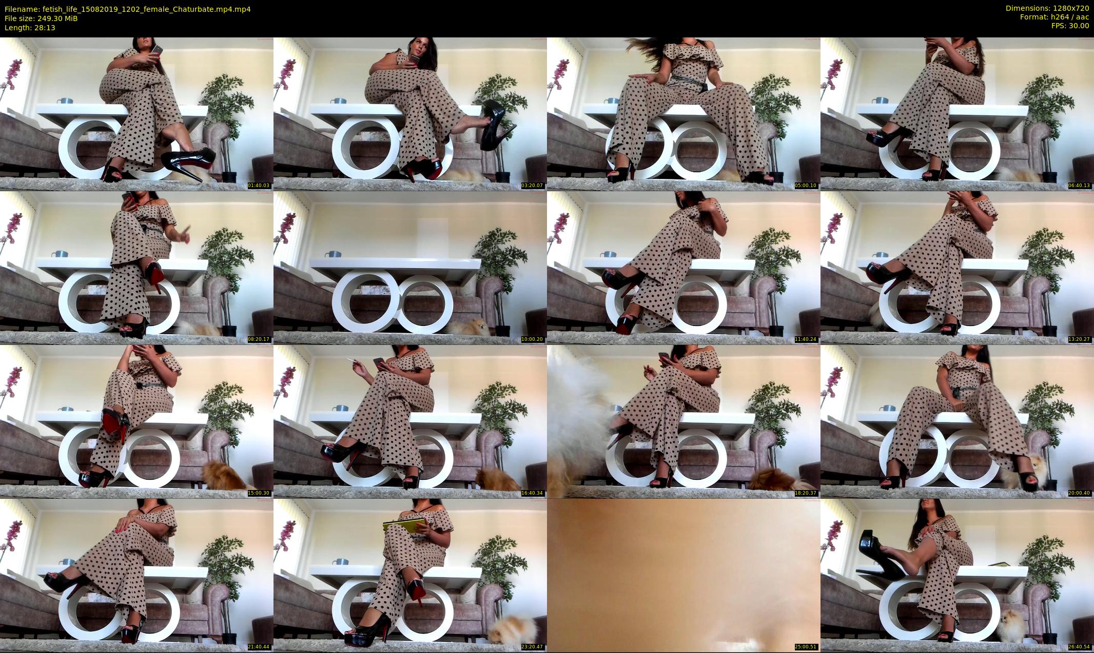 fetish_life — 29 minute Chaturbate female cam show recording, 720p, Aug 15, 2019
