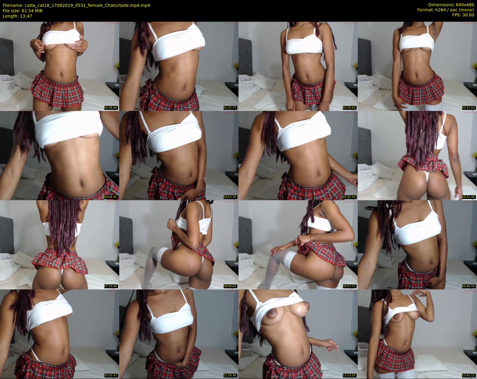 catta_cat18 — 14 minute Chaturbate female cam show recording, 480p, Aug 17, 2019