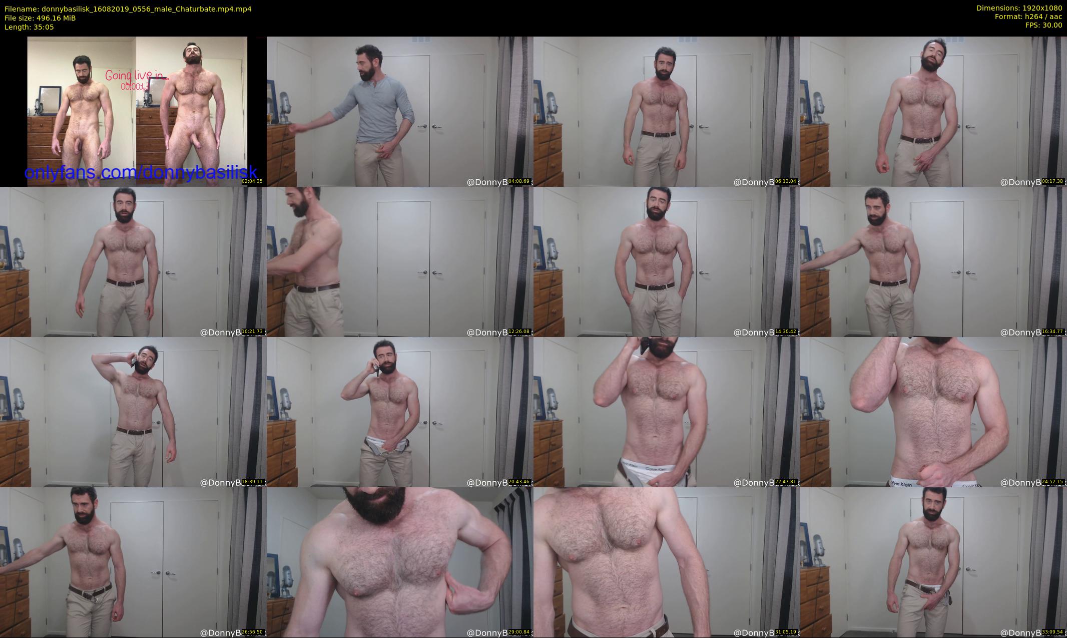 donnybasilisk — 36 minute Chaturbate male cam show recording, 1080p, Aug 16, 2019