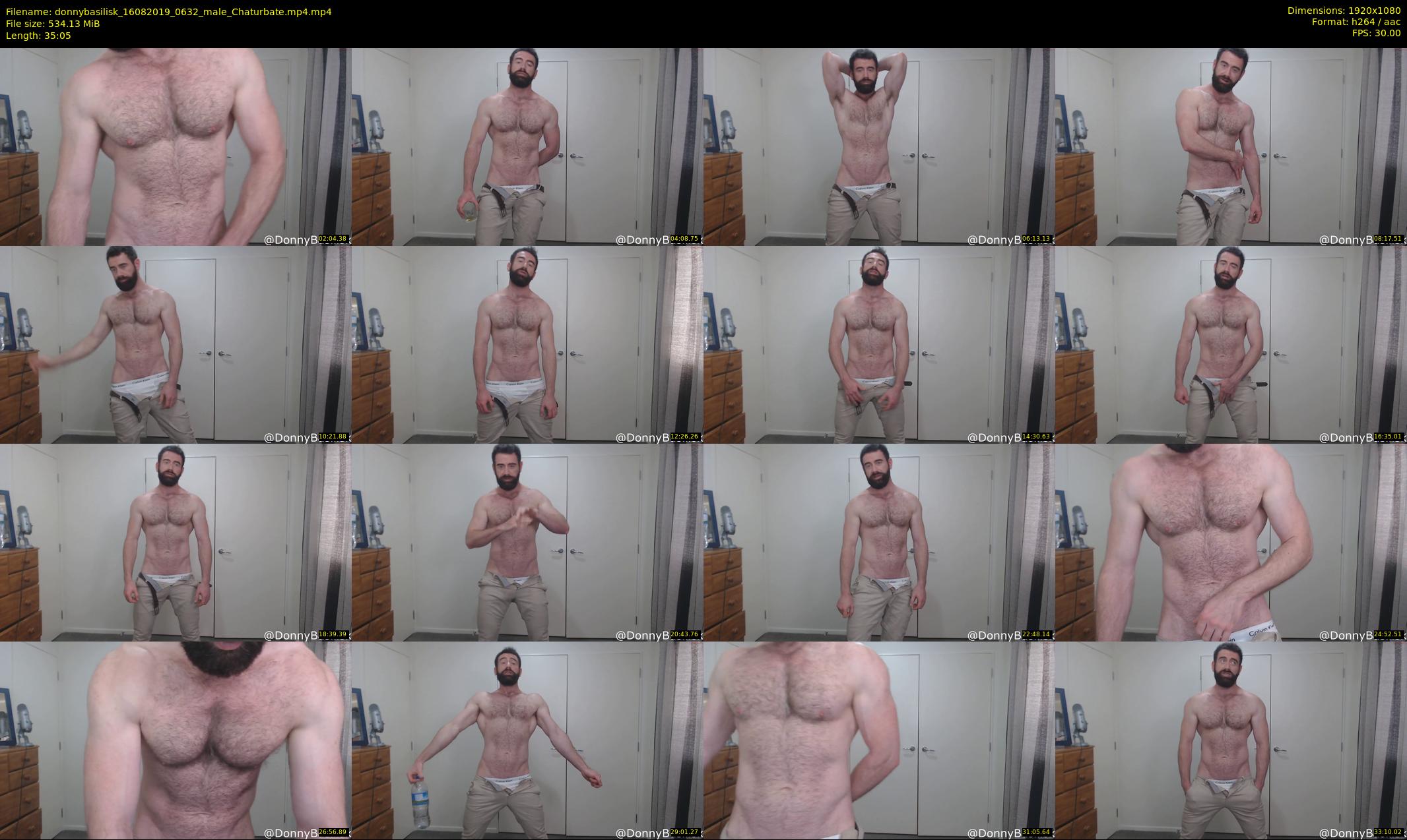 donnybasilisk — 36 minute Chaturbate male cam show recording, 1080p, Aug 16, 2019