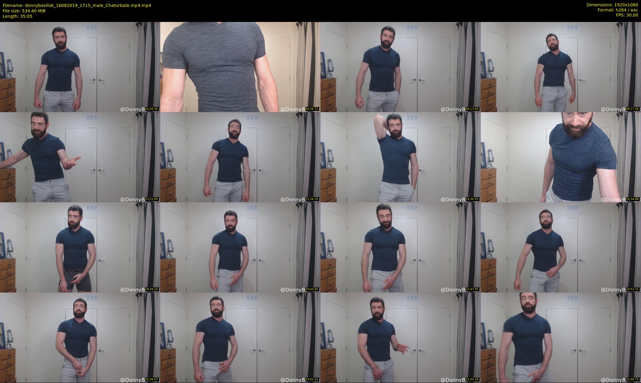 donnybasilisk — 36 minute Chaturbate male cam show recording, 1080p, Aug 16, 2019
