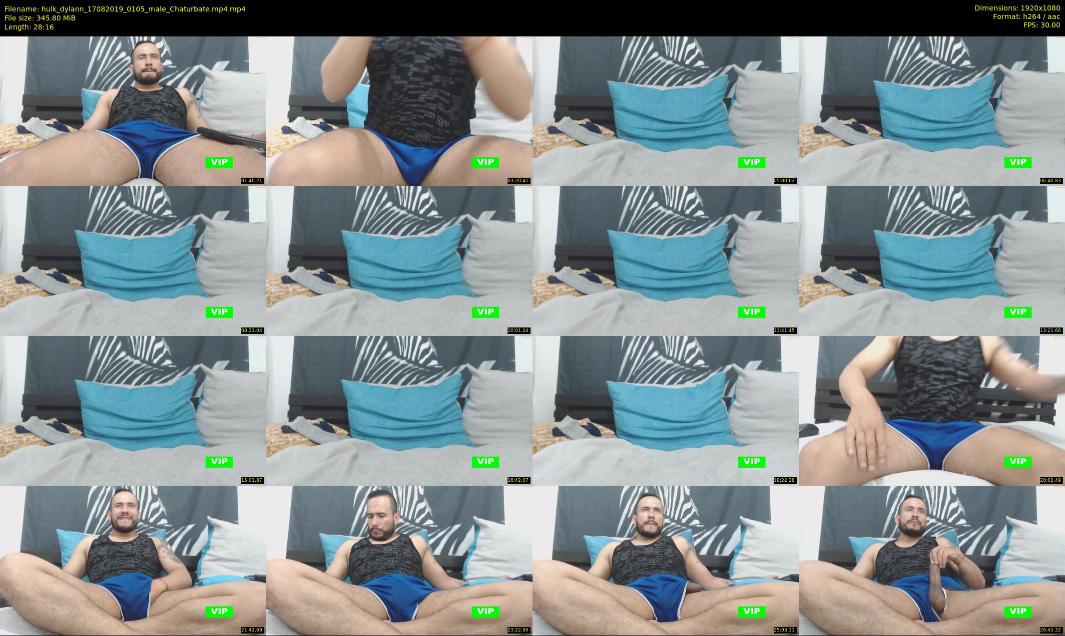 hulk_dylann — 29 minute Chaturbate male cam show recording, 1080p, Aug 17, 2019