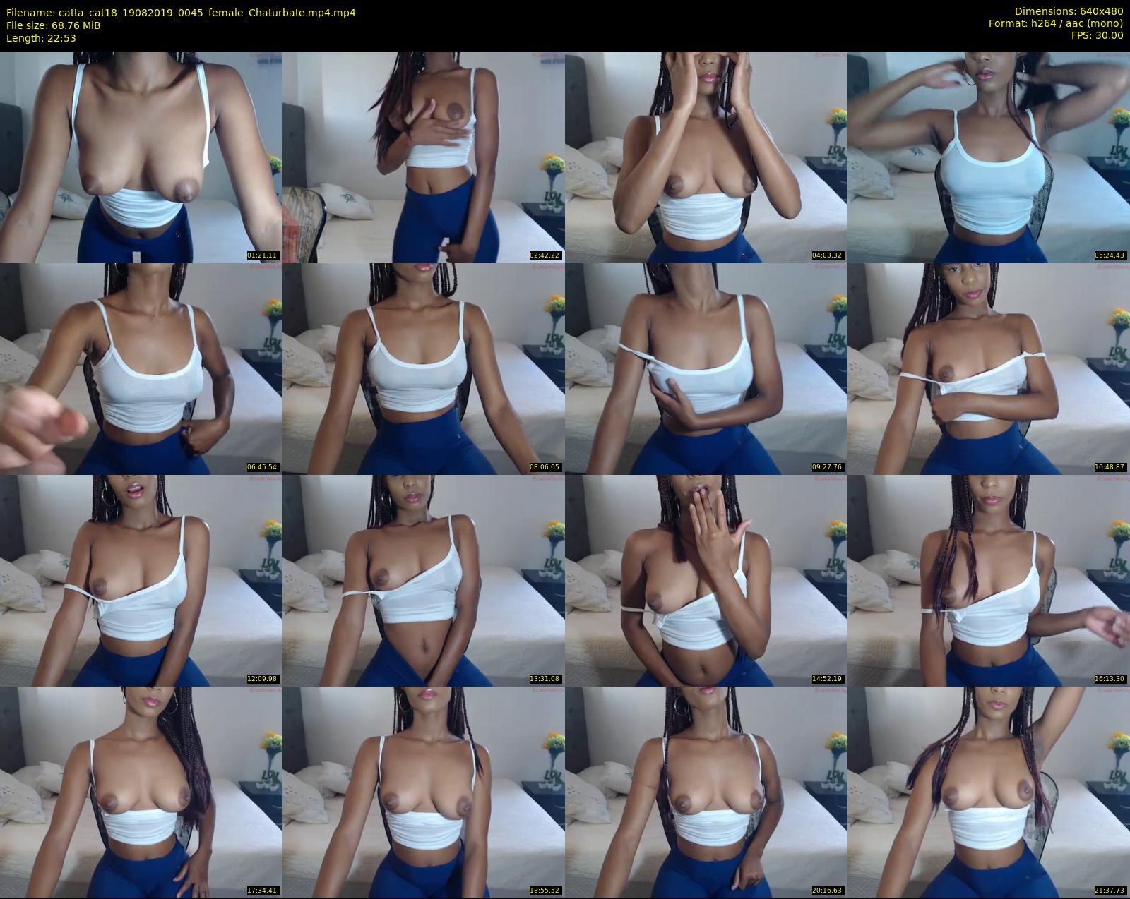 catta_cat18 — 23 minute Chaturbate female cam show recording, 480p, Aug 19, 2019