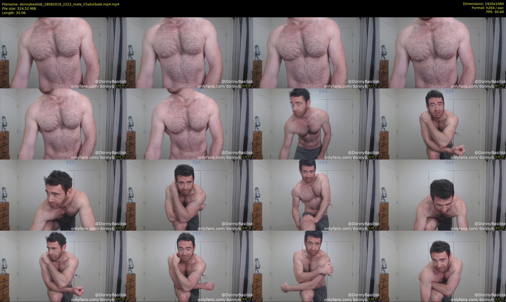 donnybasilisk — 36 minute Chaturbate male cam show recording, 1080p, Aug 18, 2019