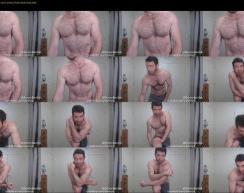 donnybasilisk — 36 minute Chaturbate male cam show recording, 1080p, Aug 18, 2019