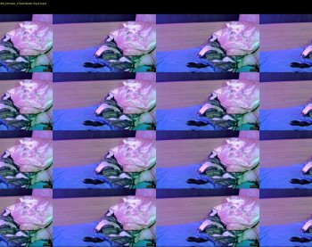 neonquack — 14 minute Chaturbate female cam show recording, 720p, Aug 18, 2019