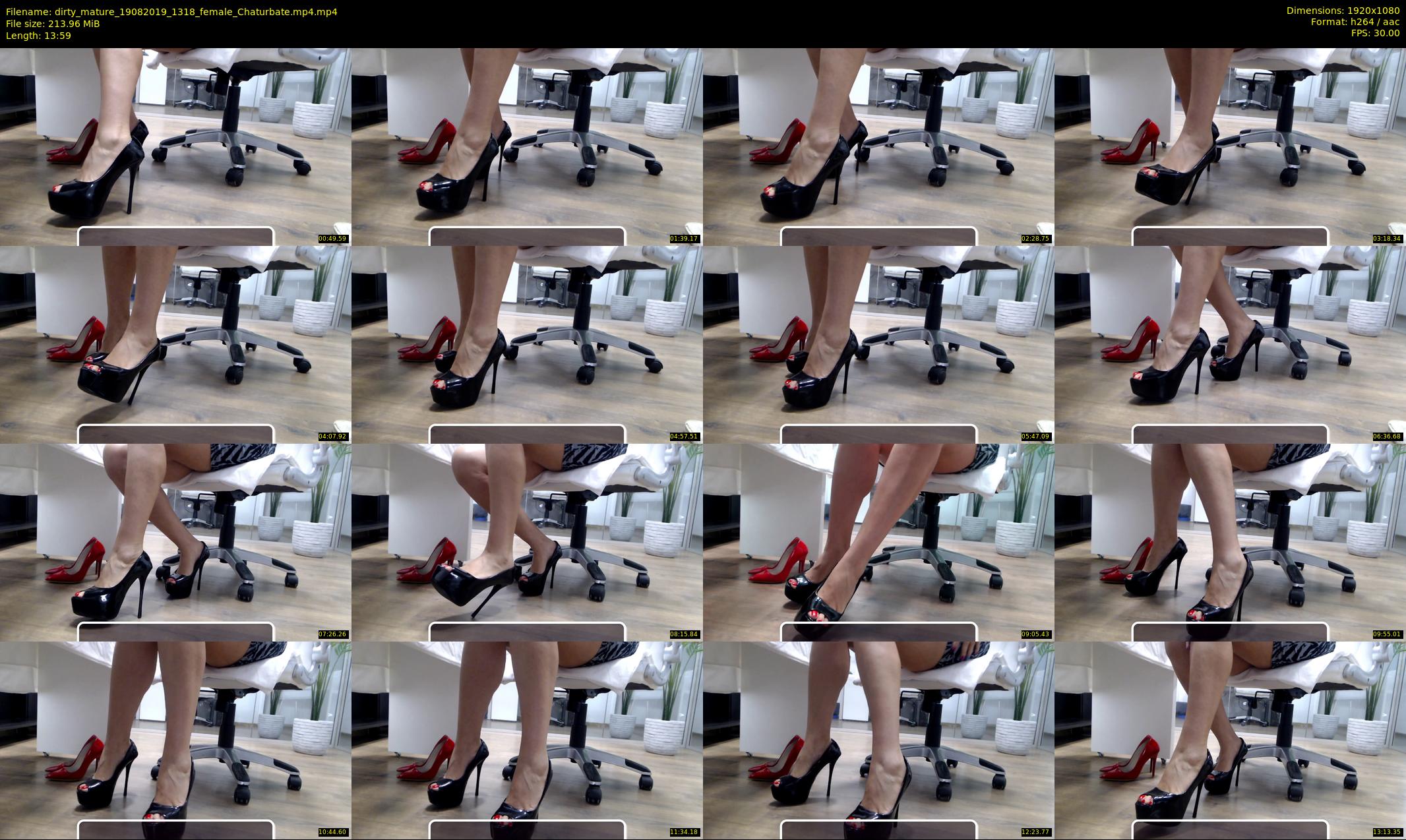 dirty_mature — 14 minute Chaturbate female cam show recording, 1080p, Aug 19, 2019