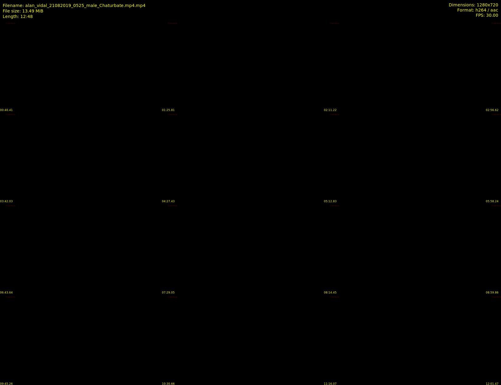 alan_vidal — 13 minute Chaturbate male cam show recording, 720p, Aug 21, 2019